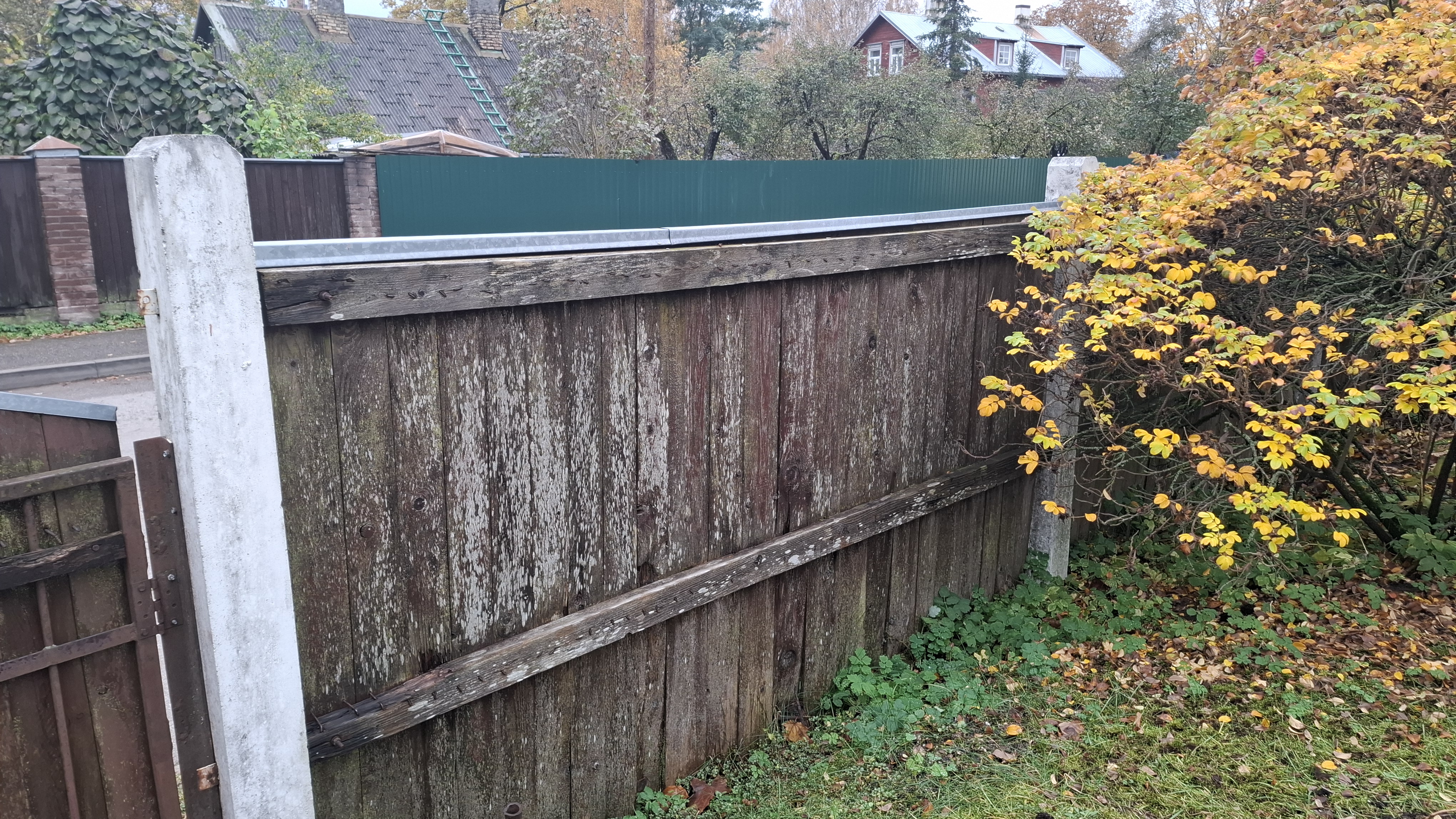 Photos 1
