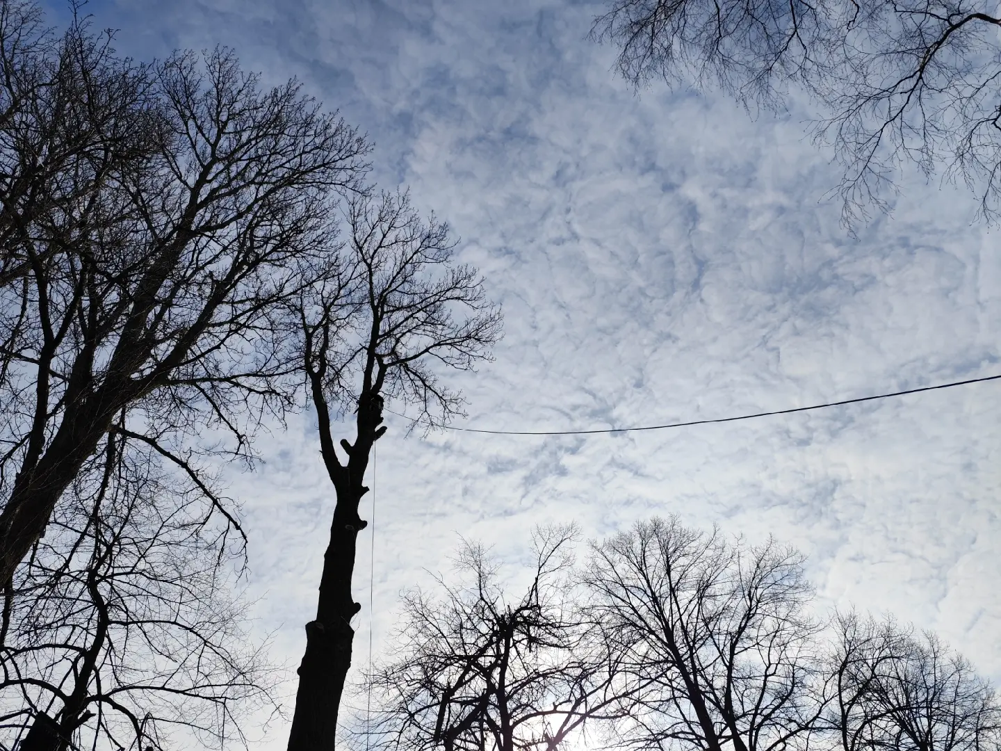 Fotoattēli 18