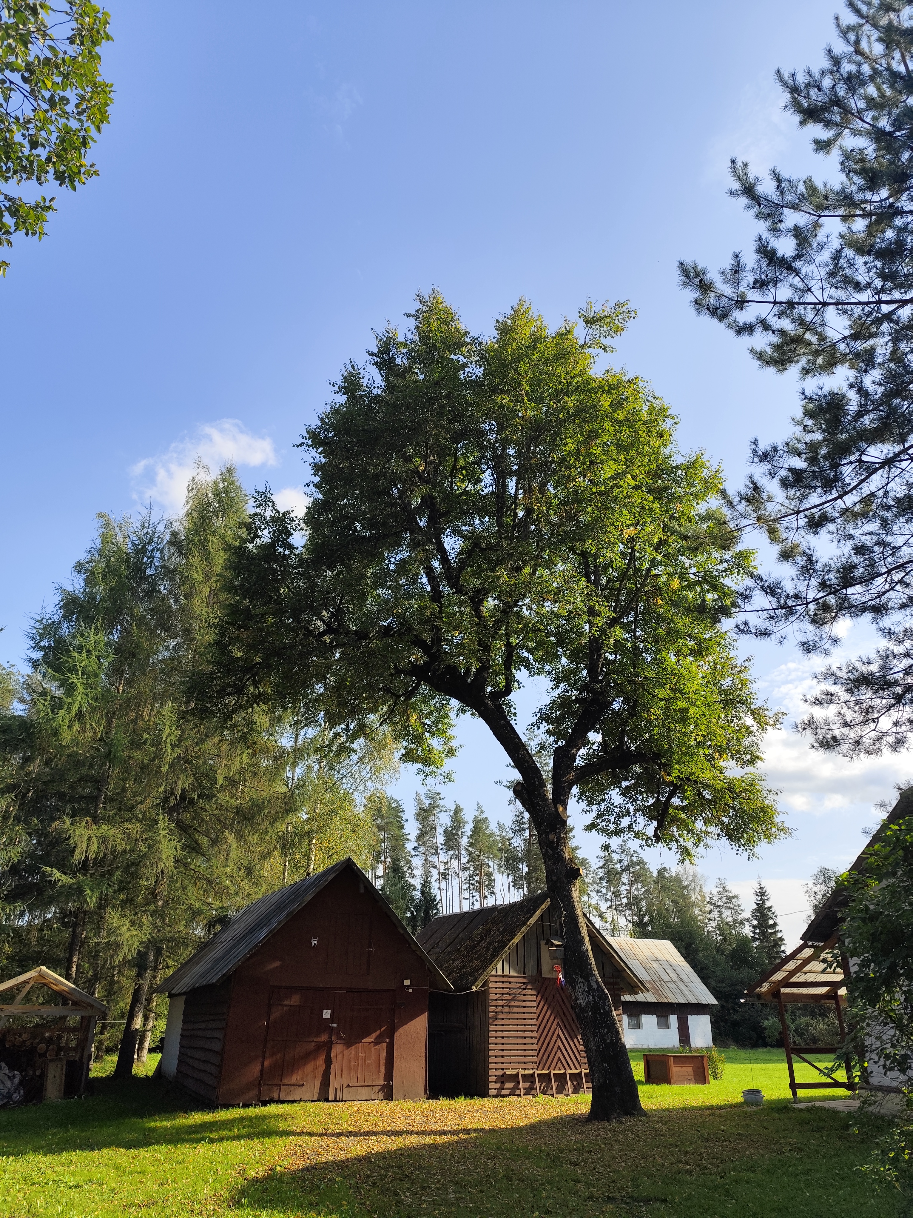 Fotoattēli 13
