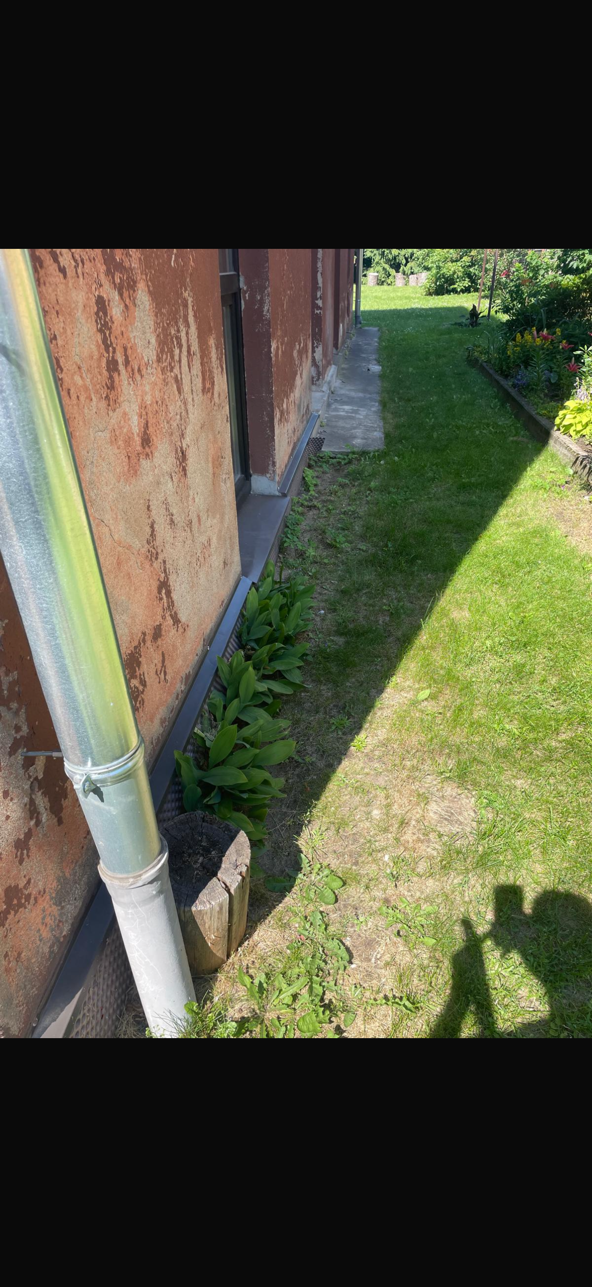 Fotoattēli 2