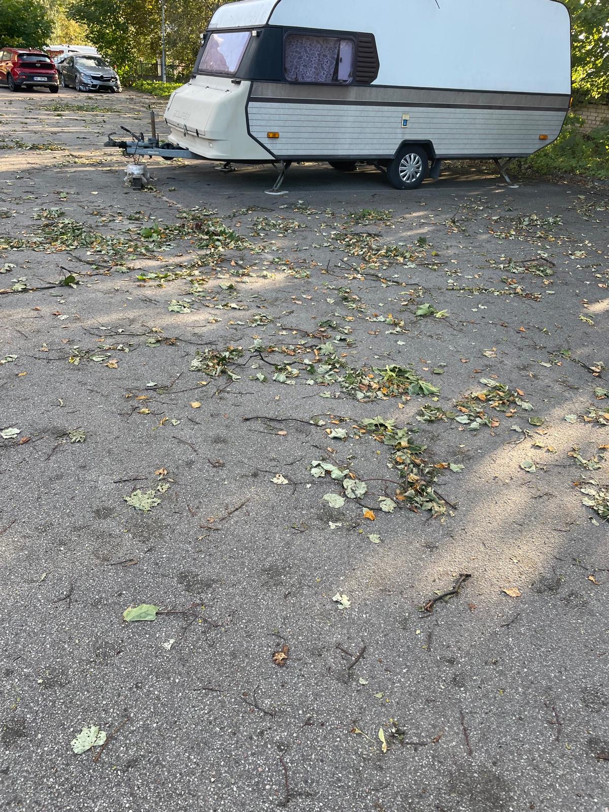 Fotoattēli 1
