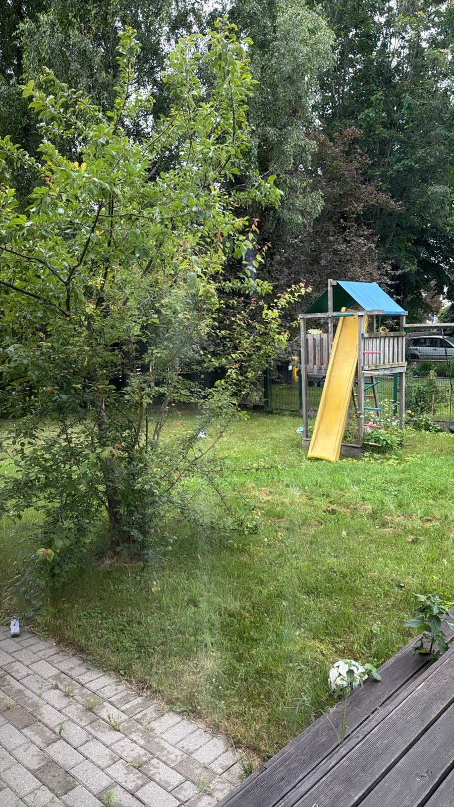 Photos 1