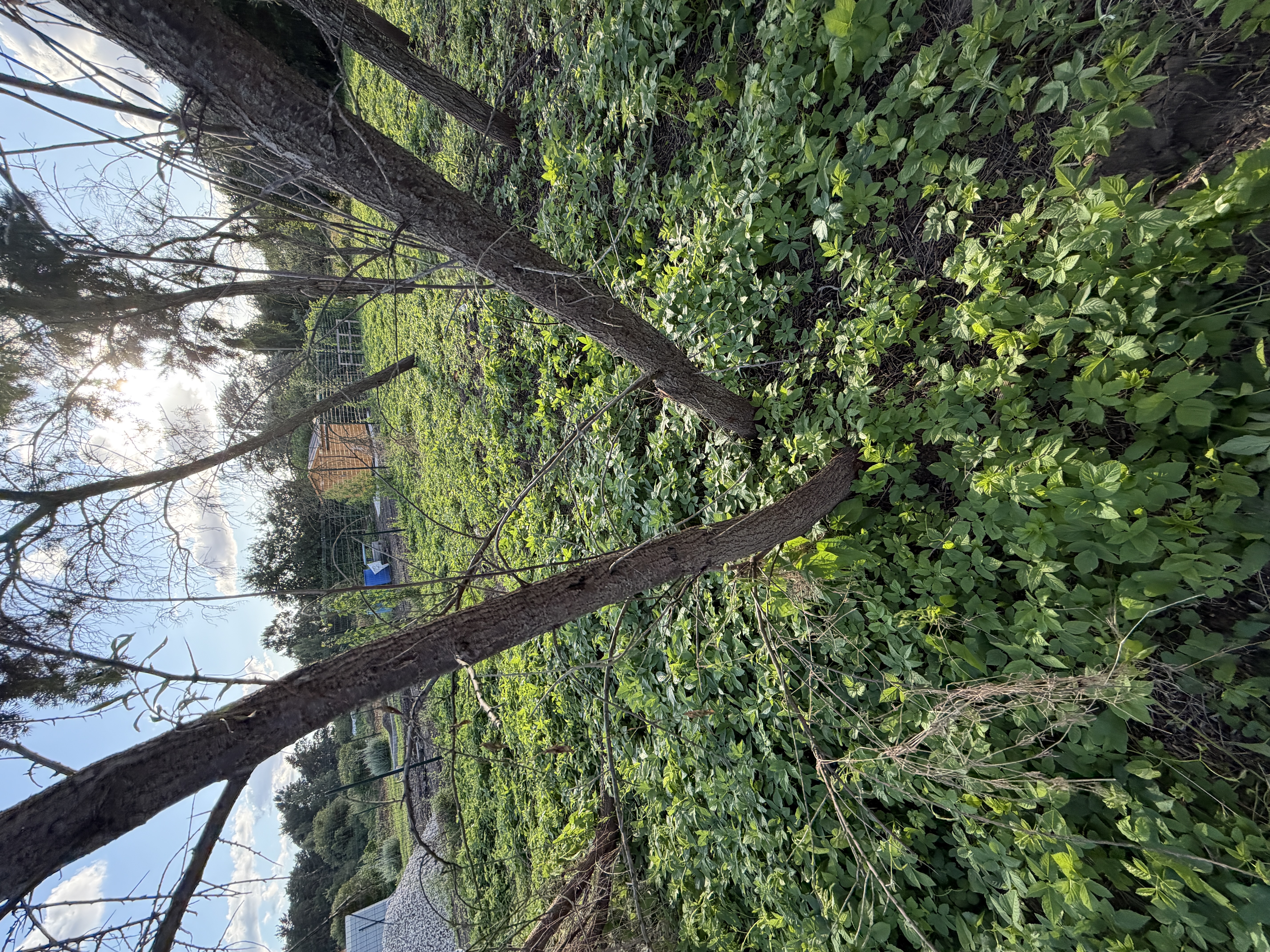 Photos 2
