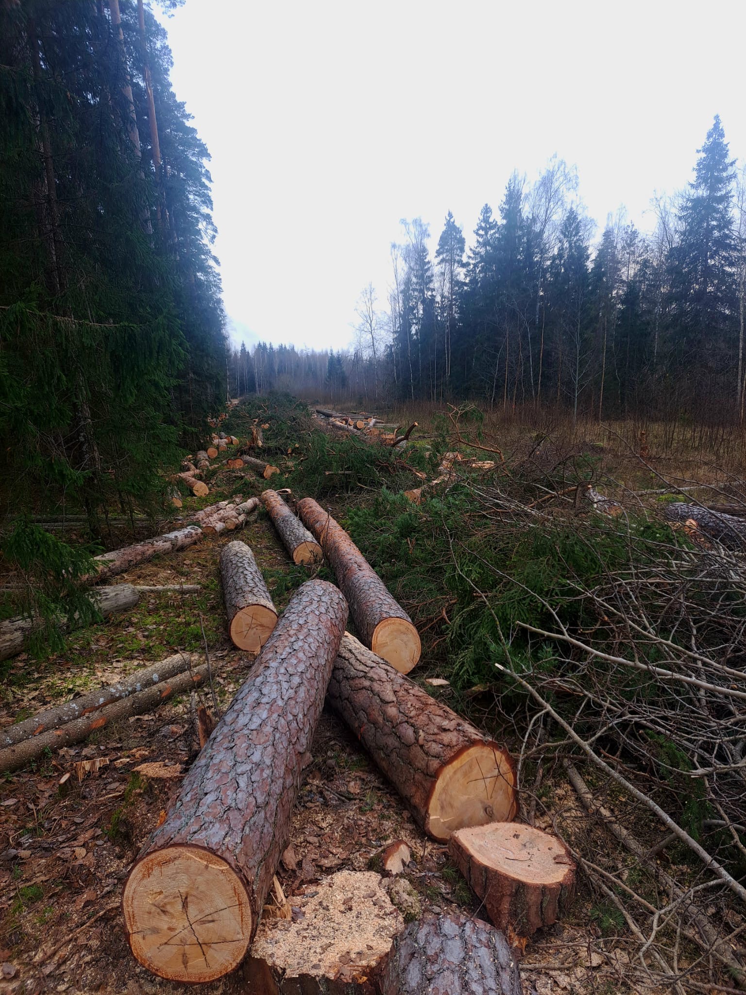 Fotoattēli 1