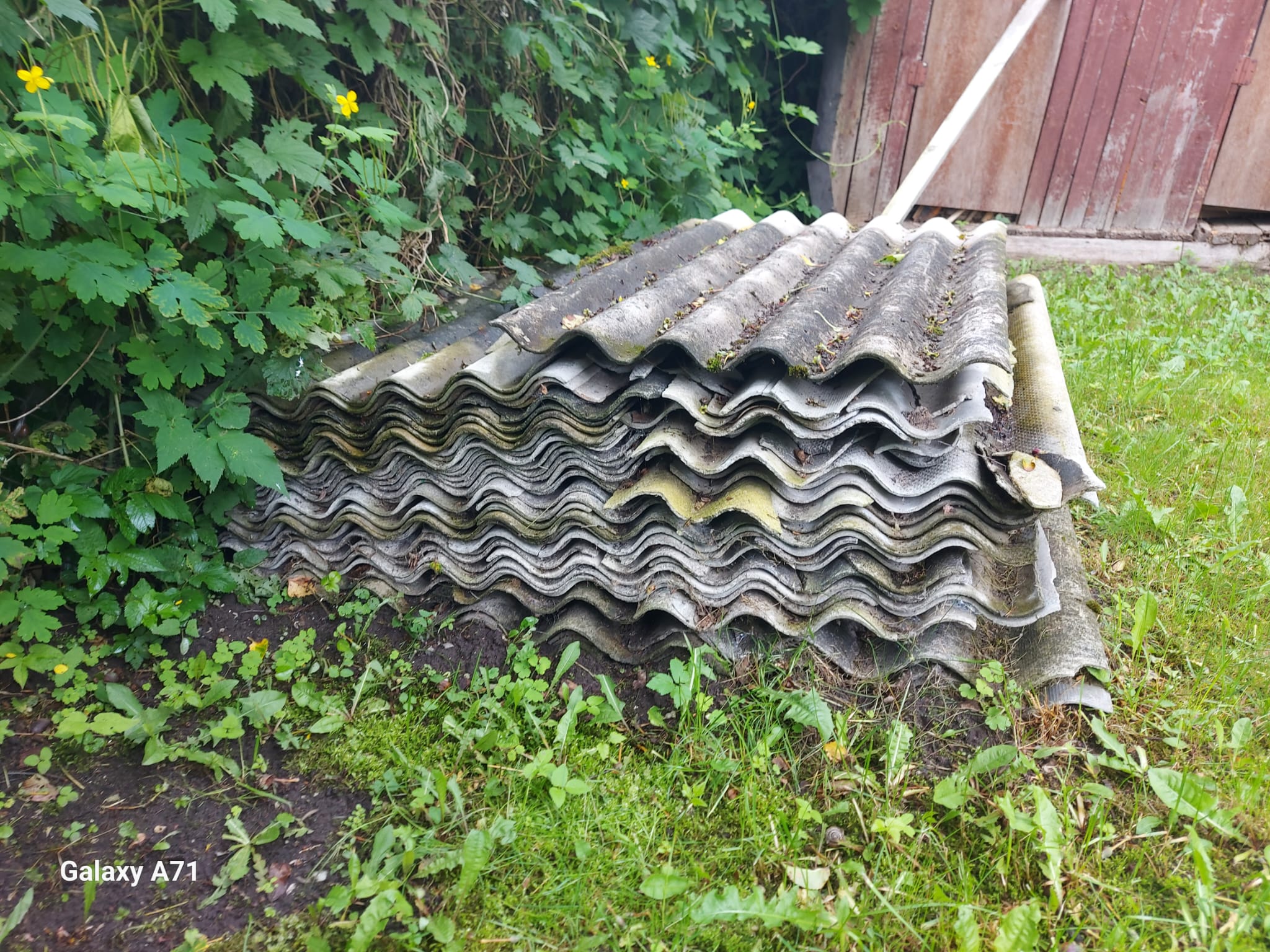 Photos 1