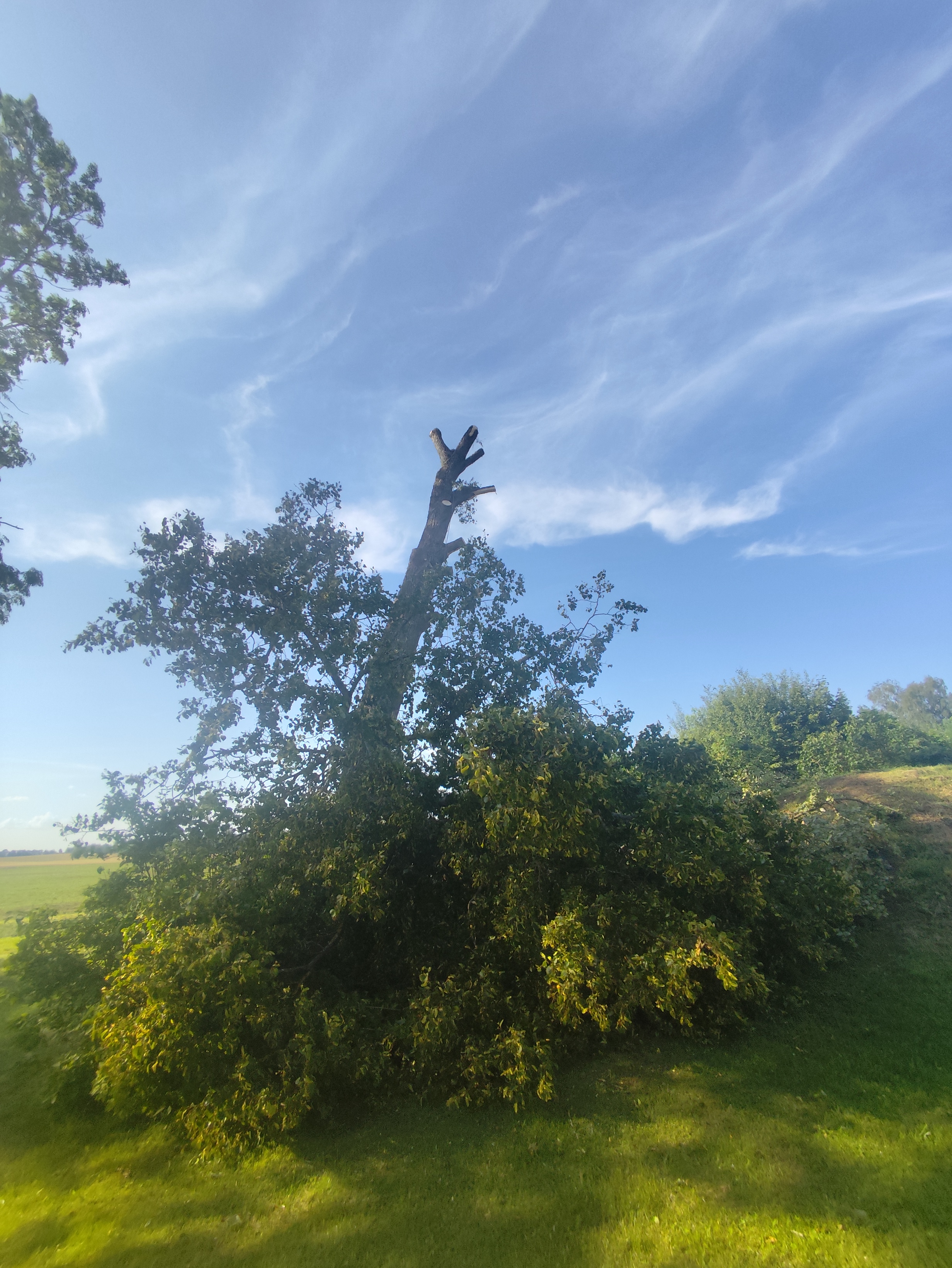 Fotoattēli 16