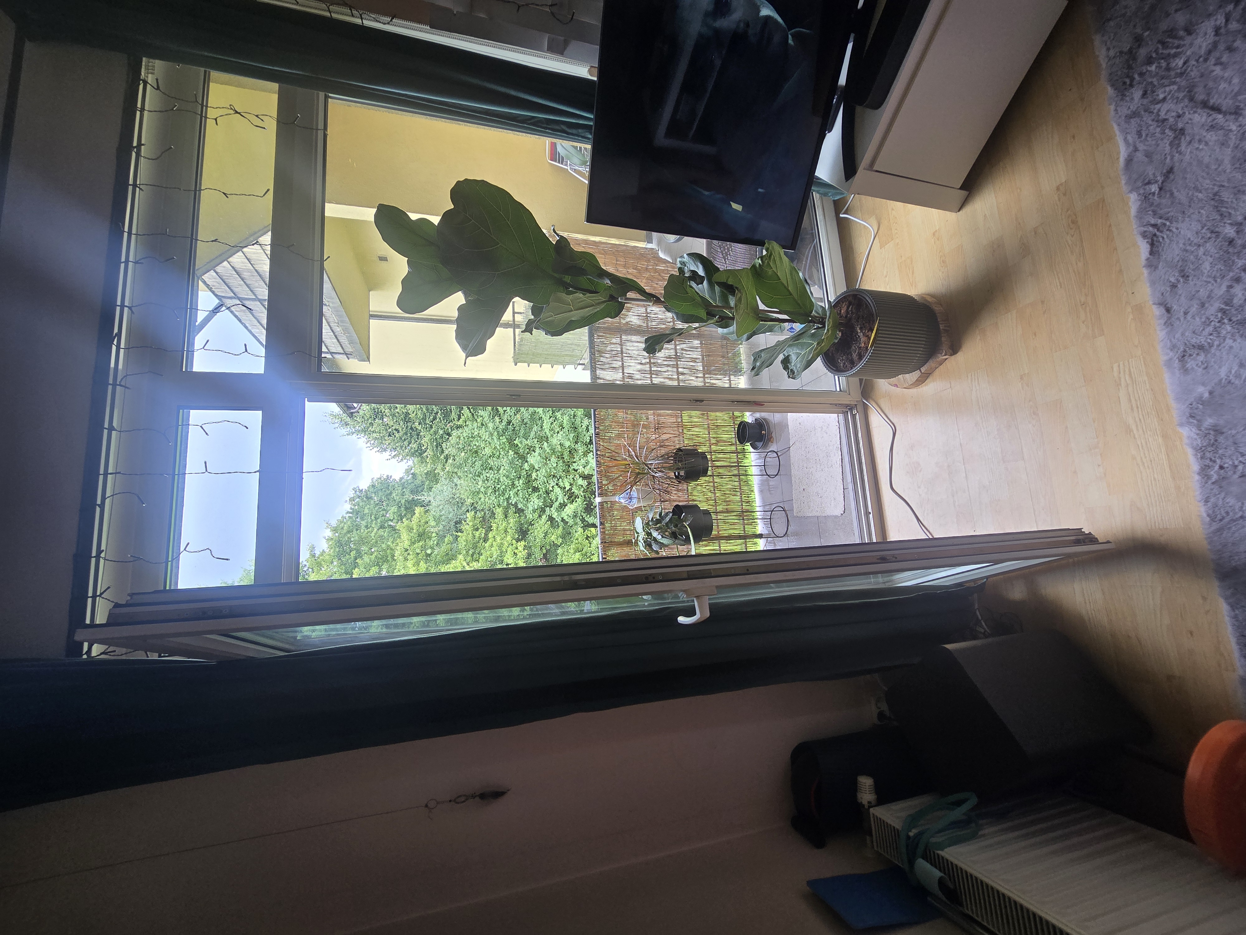 Photos 1