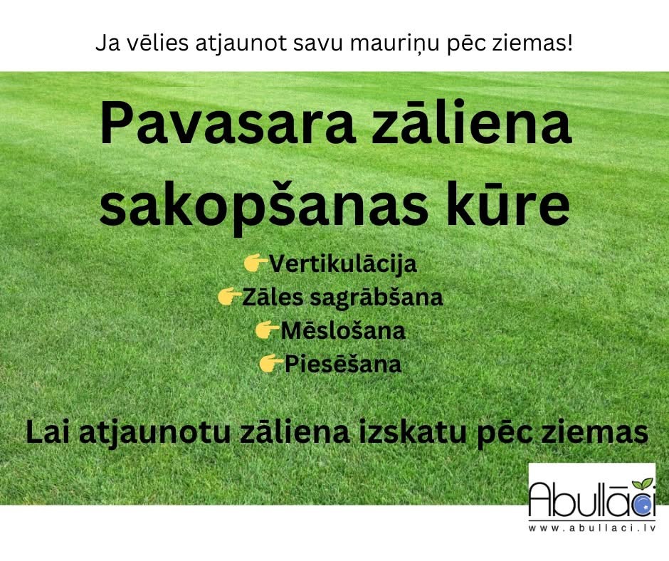 Fotoattēli 1