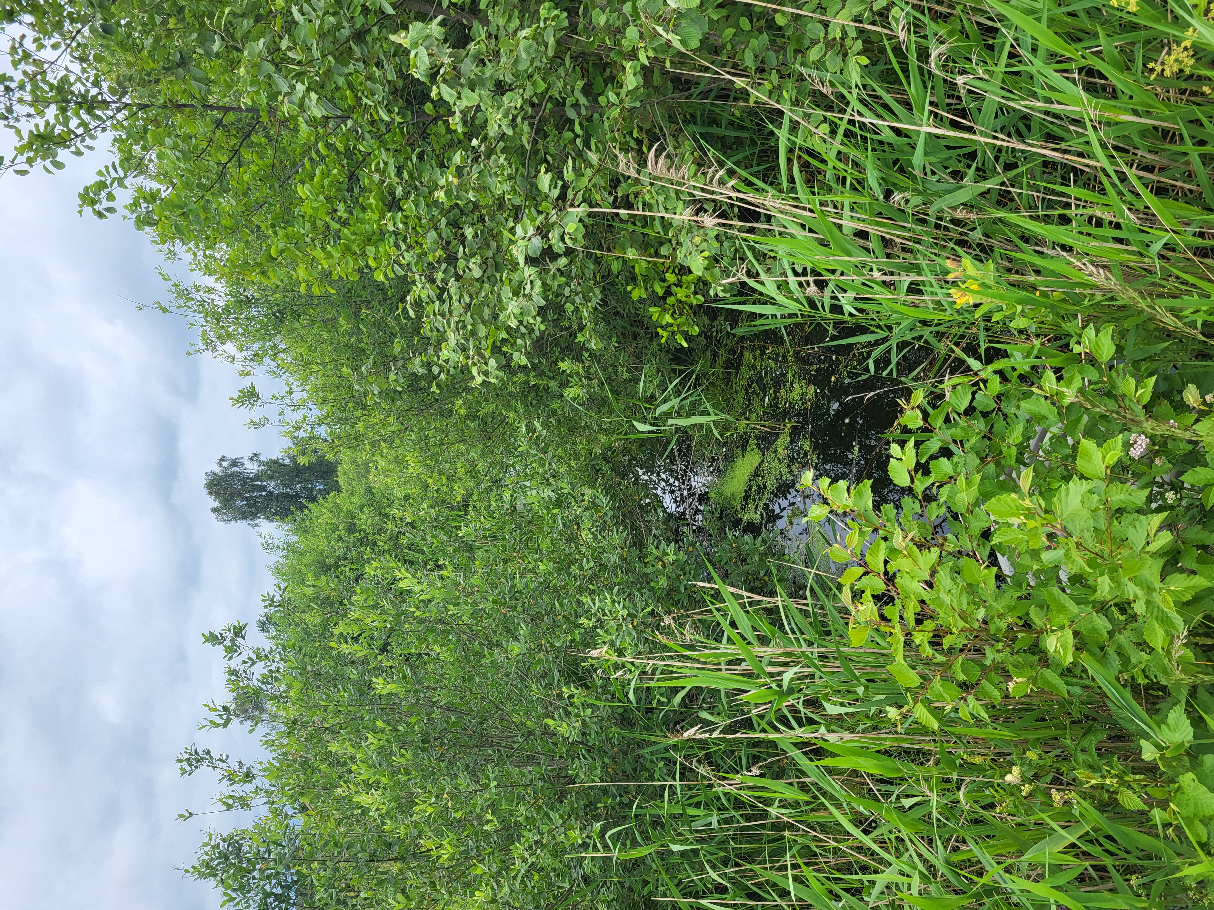 Photos 1