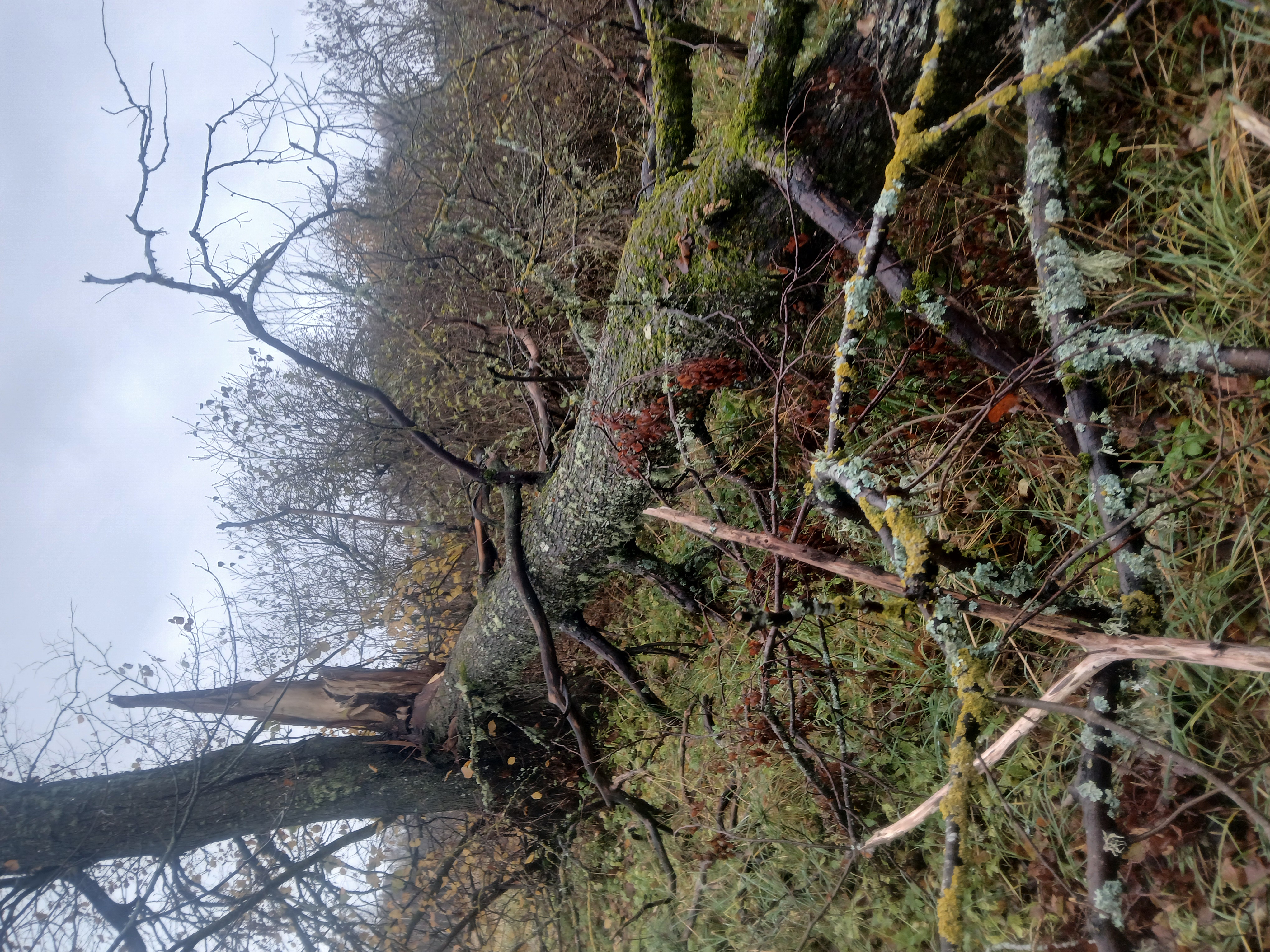 Fotoattēli 1