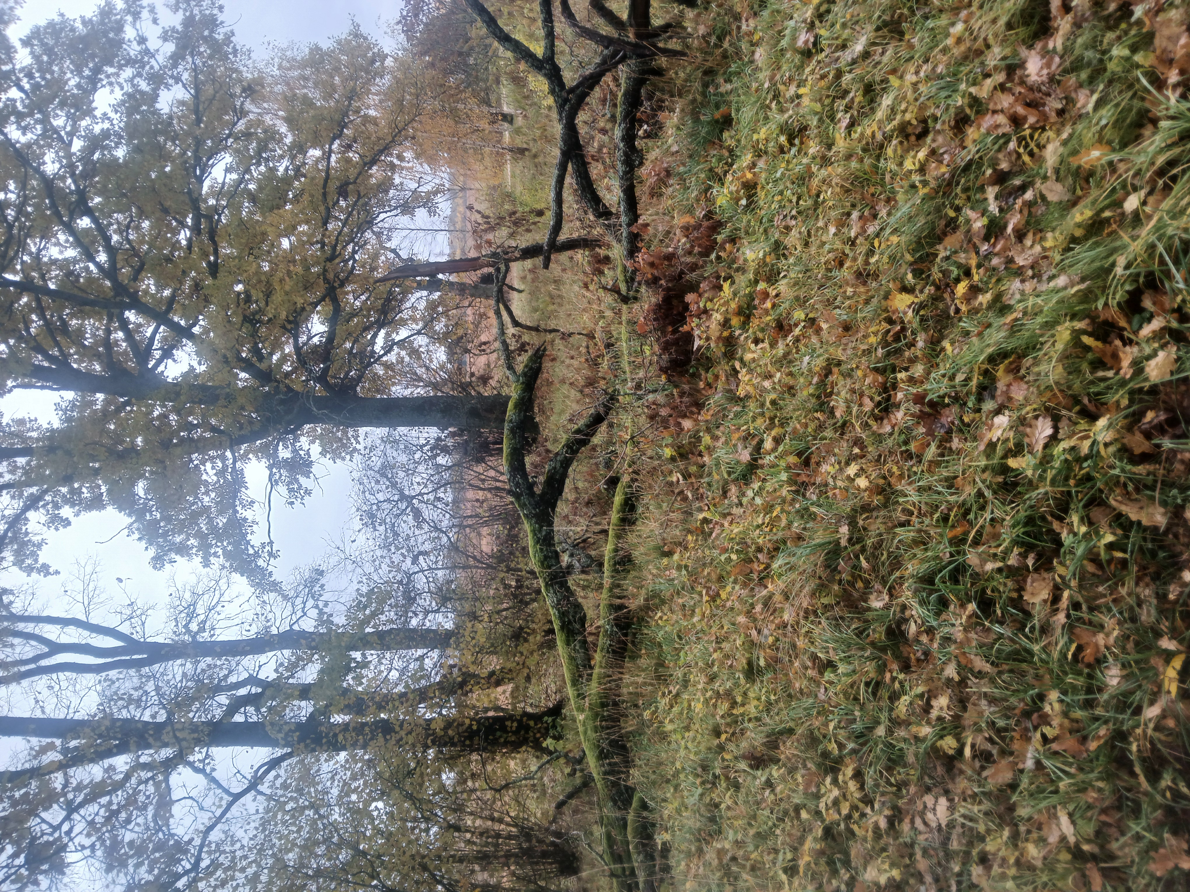 Fotoattēli 3