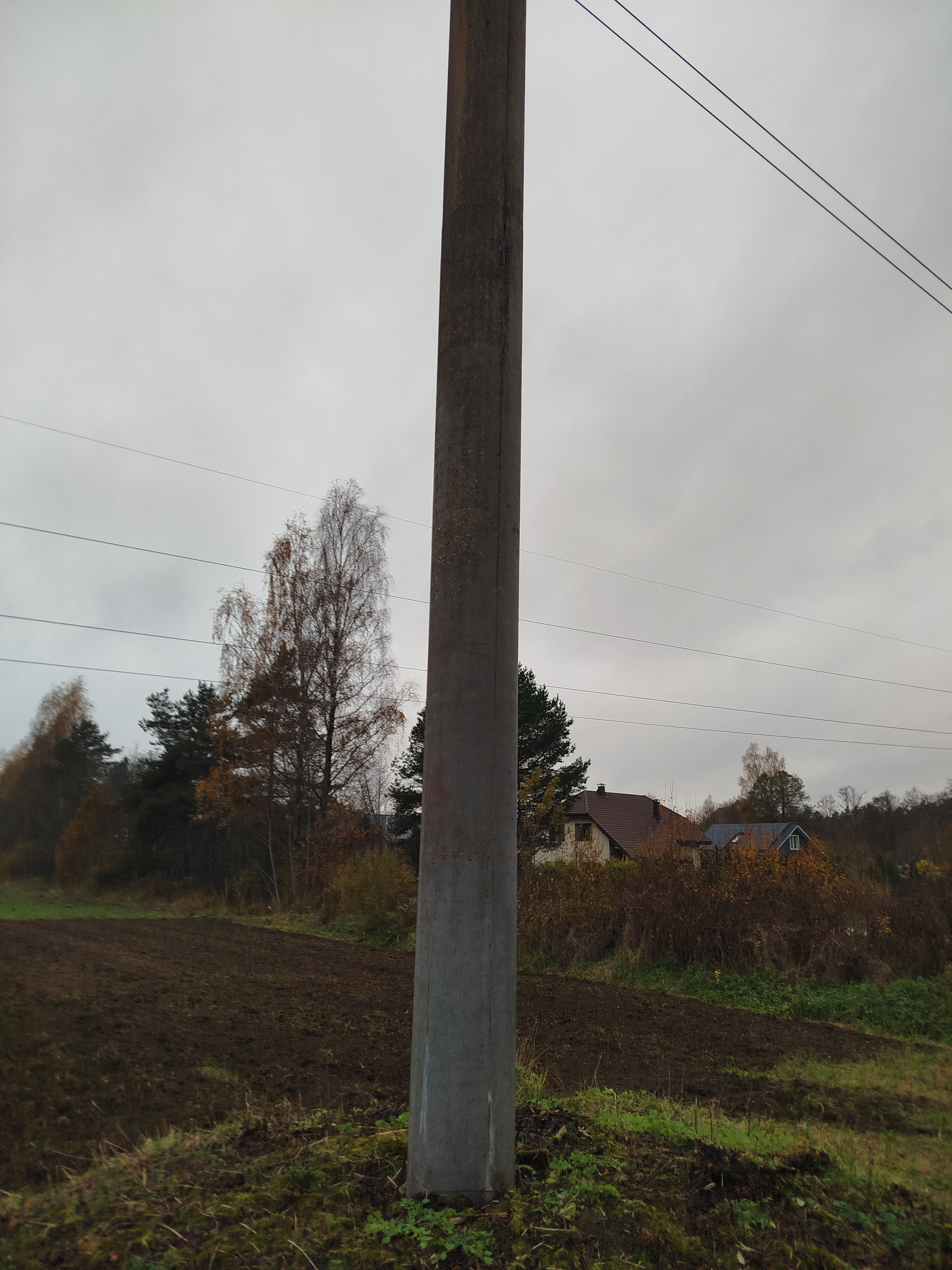 Photos 5