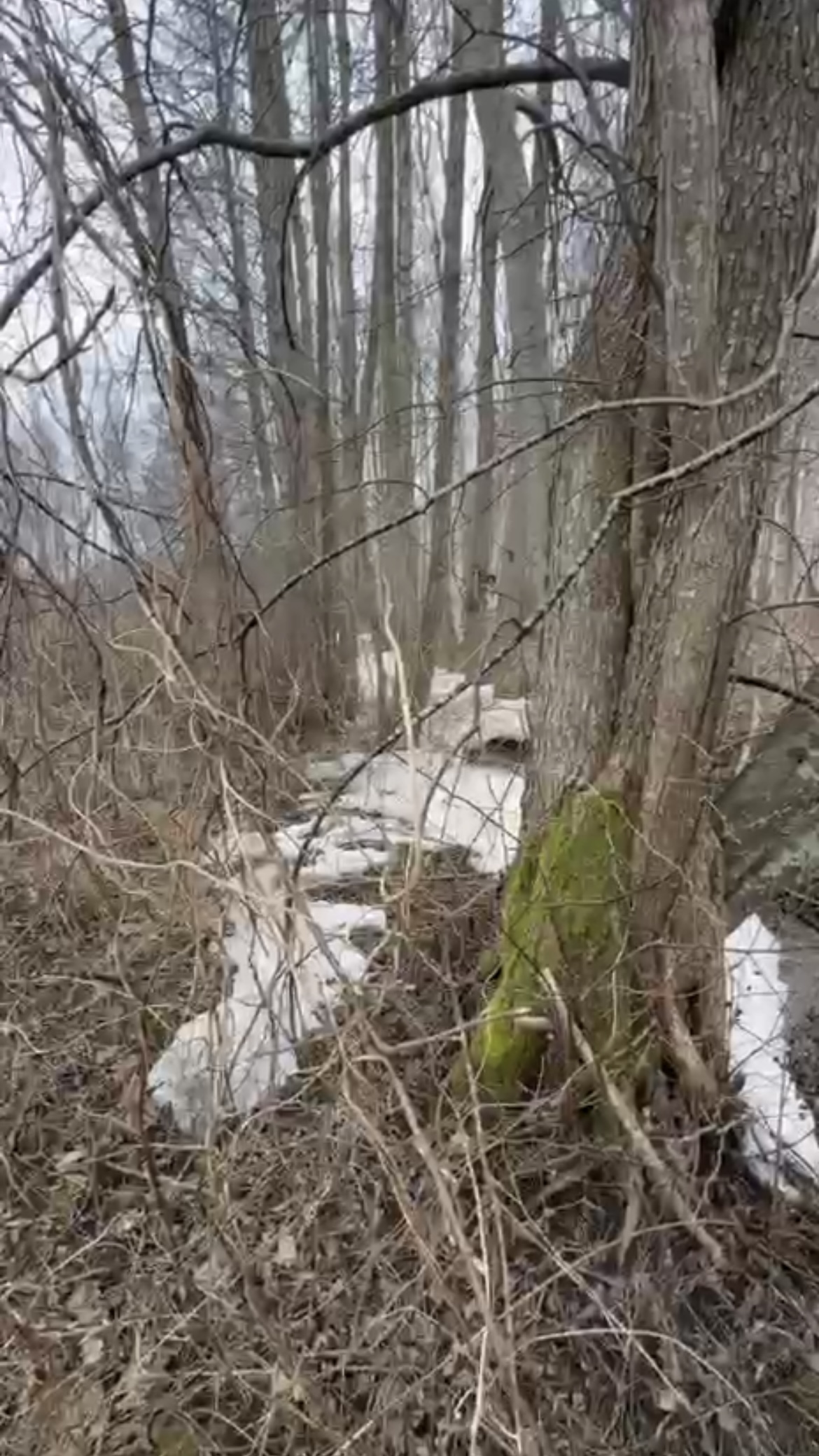 Fotoattēli 1