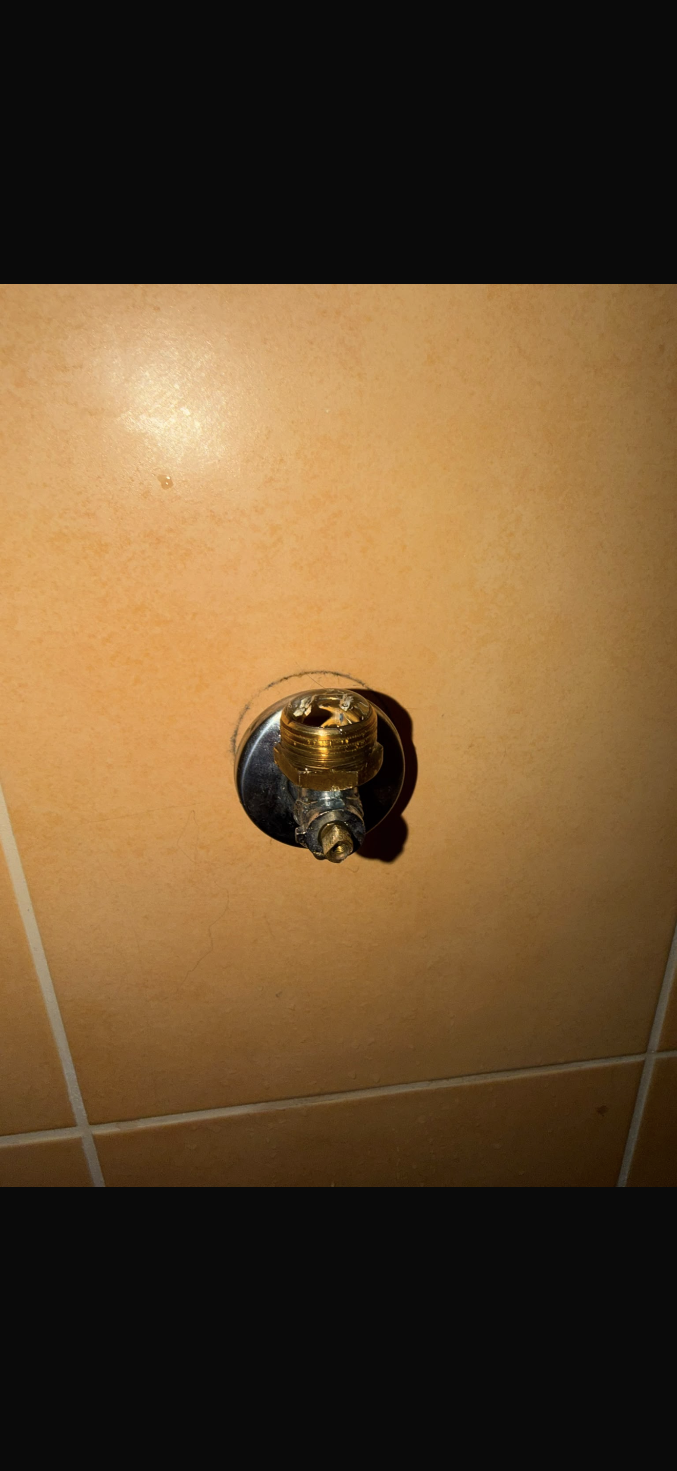 Fotoattēli 1