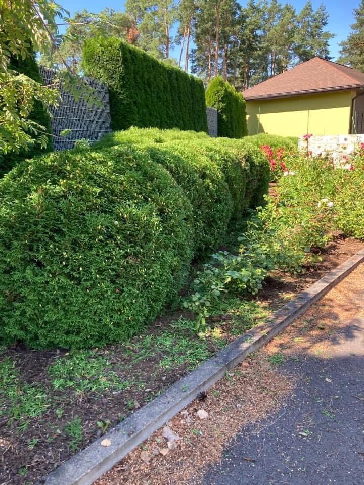 Photos 4