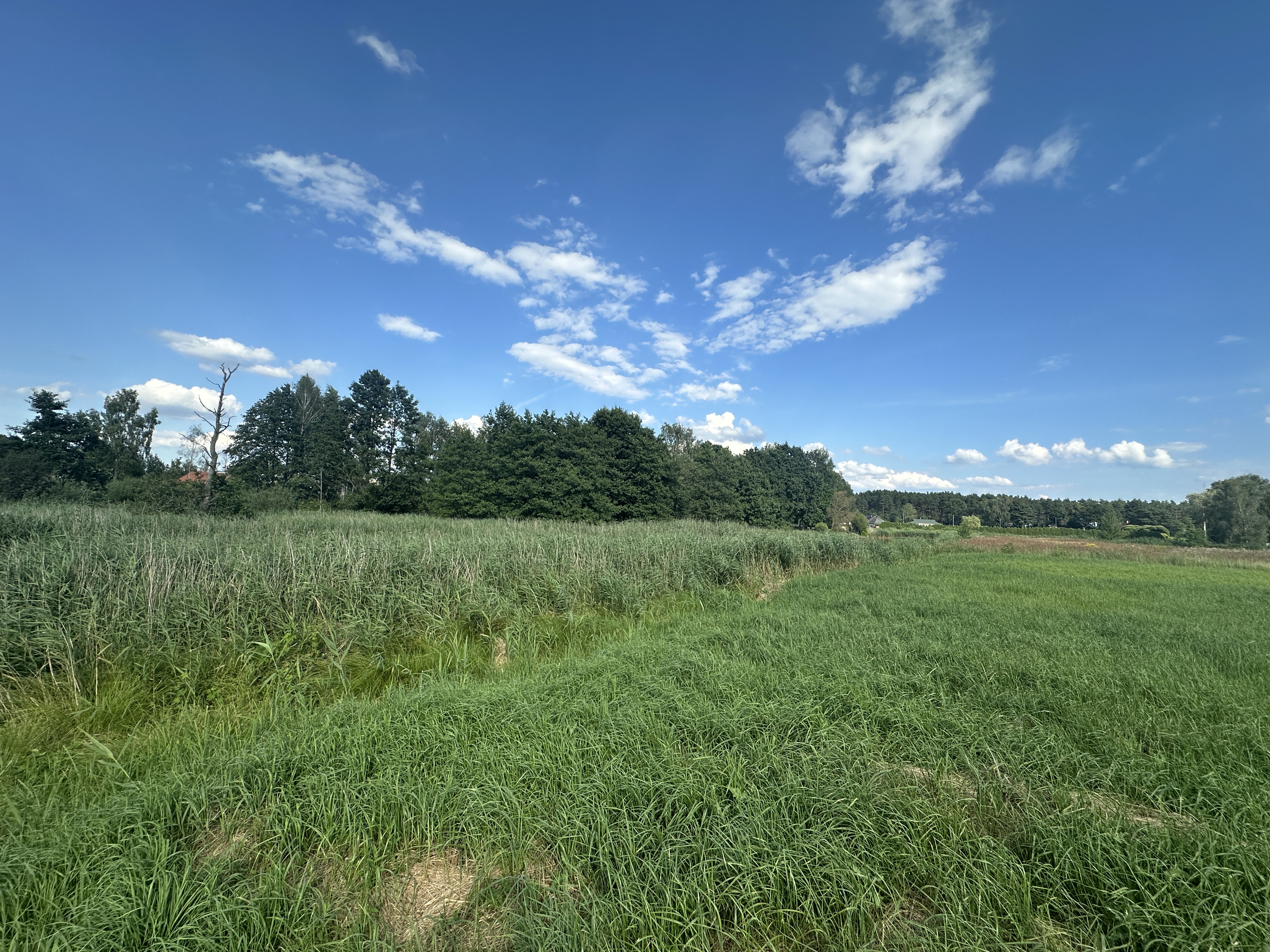 Fotoattēli 1