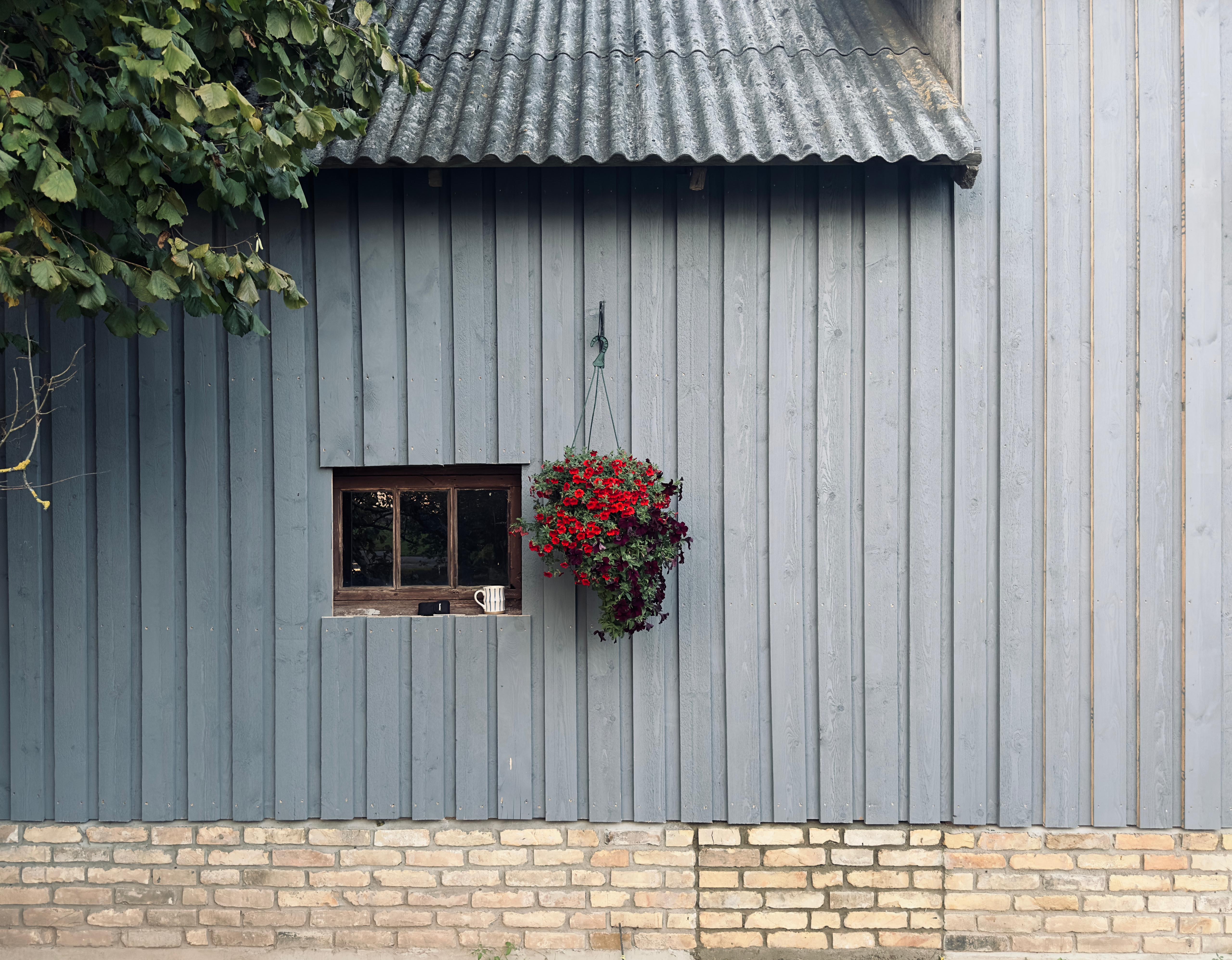 Fotoattēli 4