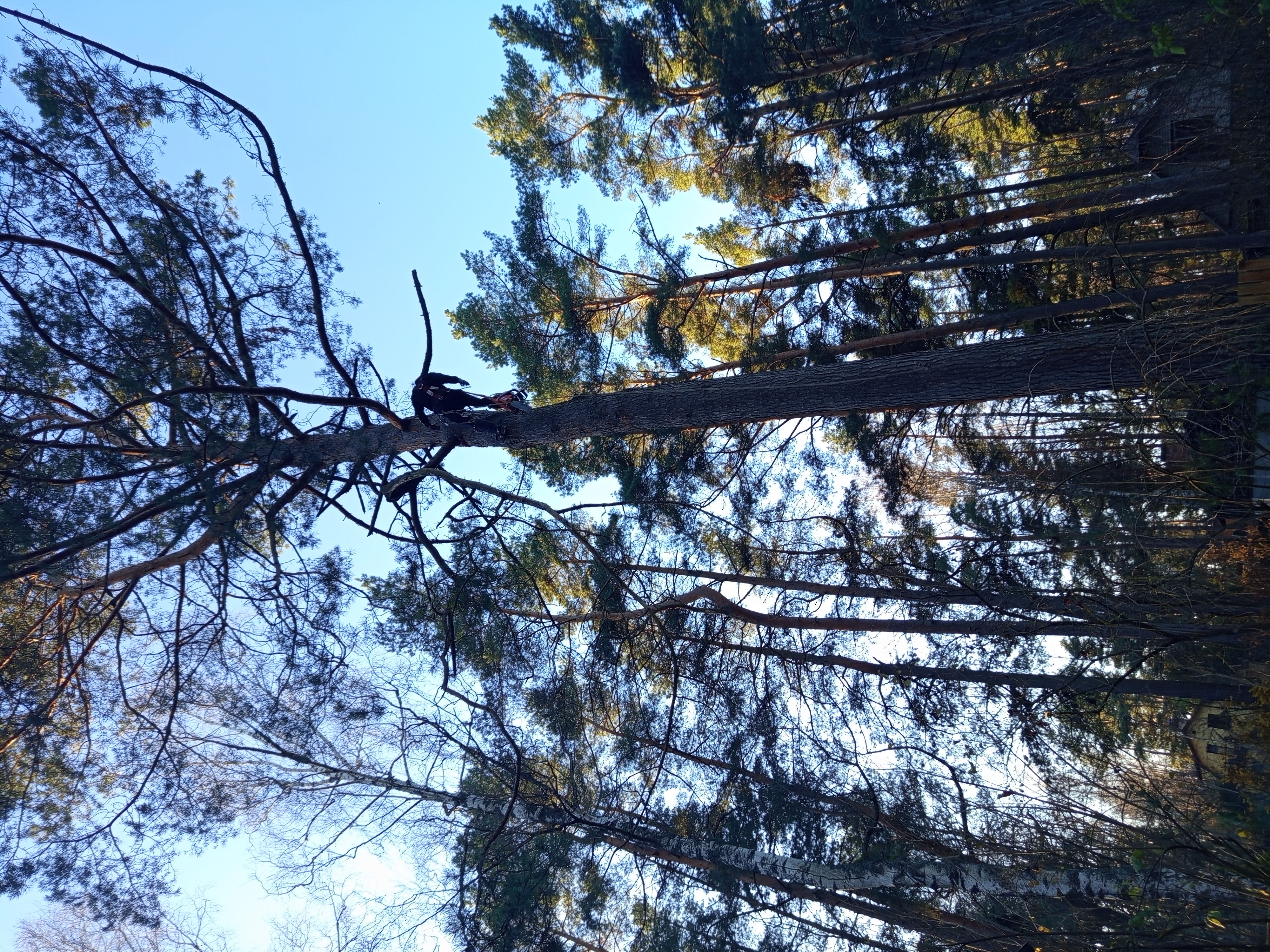 Fotoattēli 1