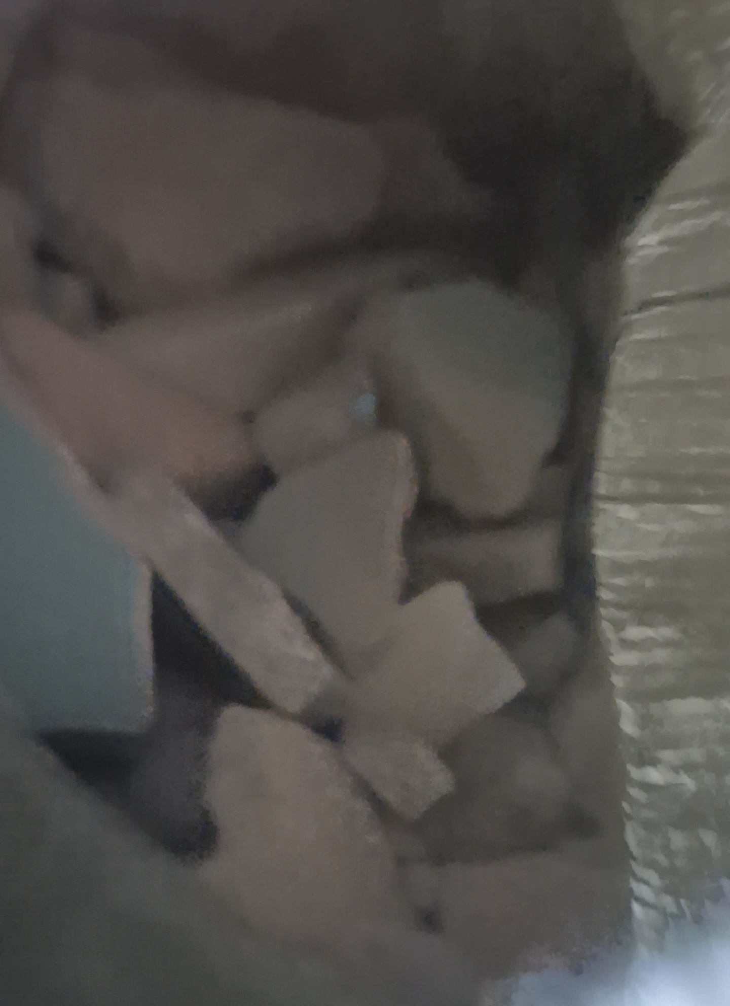Photos 2