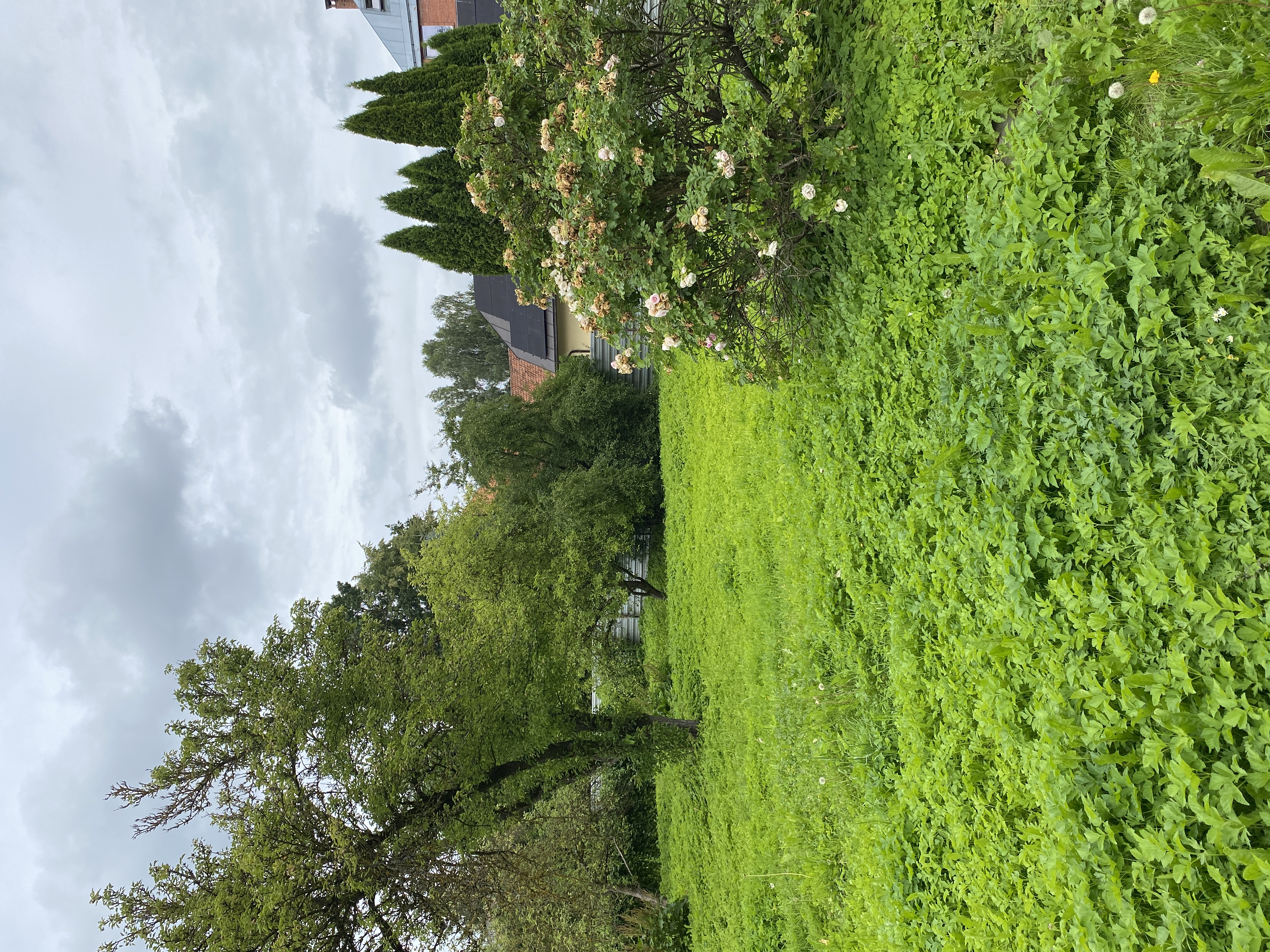 Photos 1