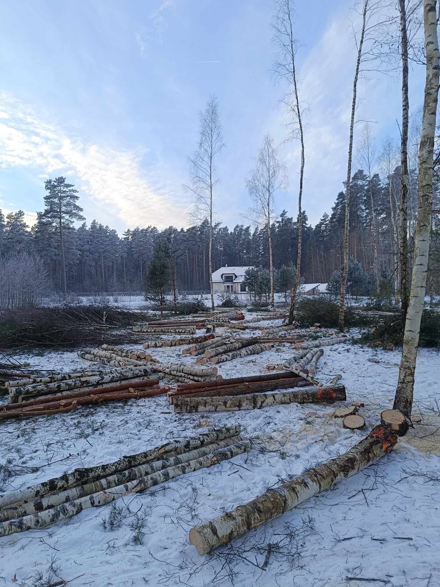 Фотографии 10