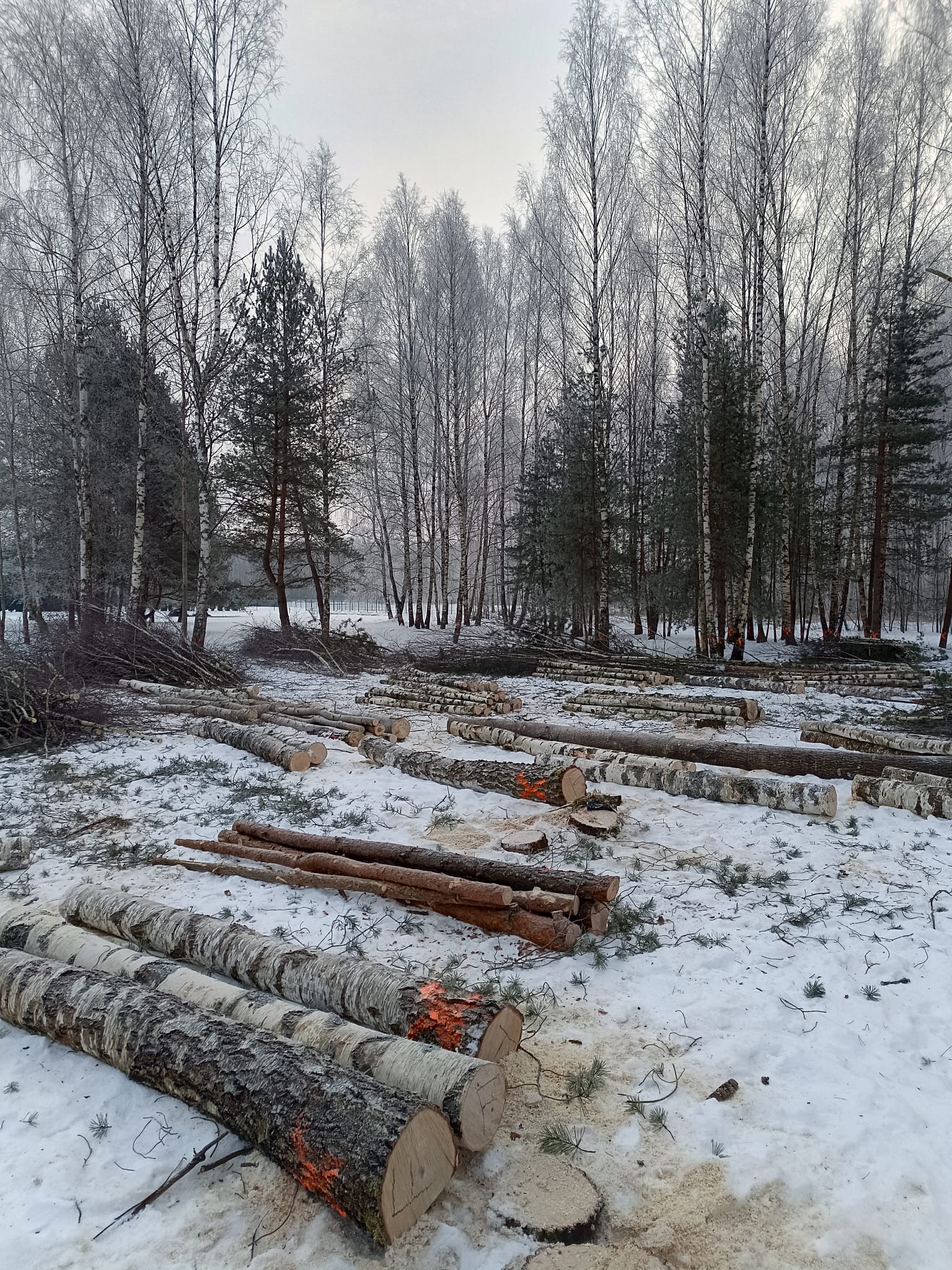 Фотографии 8