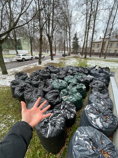 Изображение галереи 6