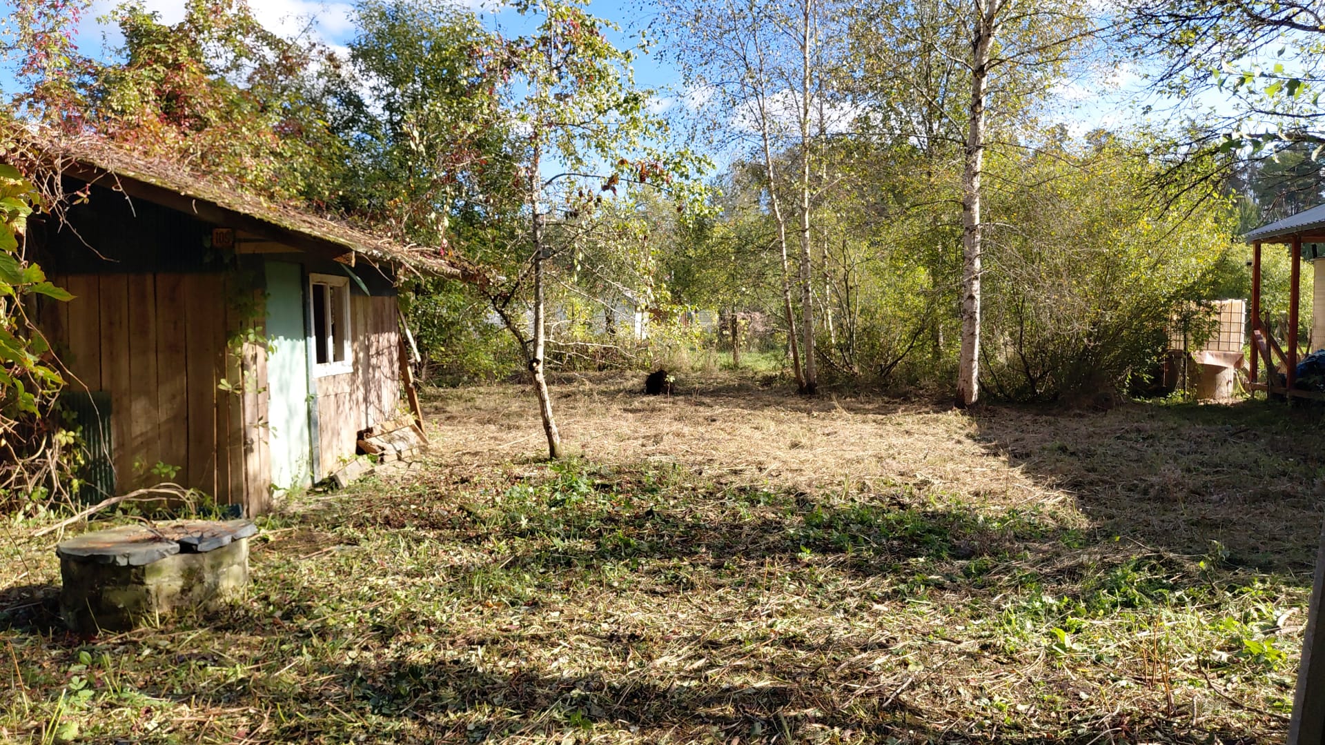 Photos 1