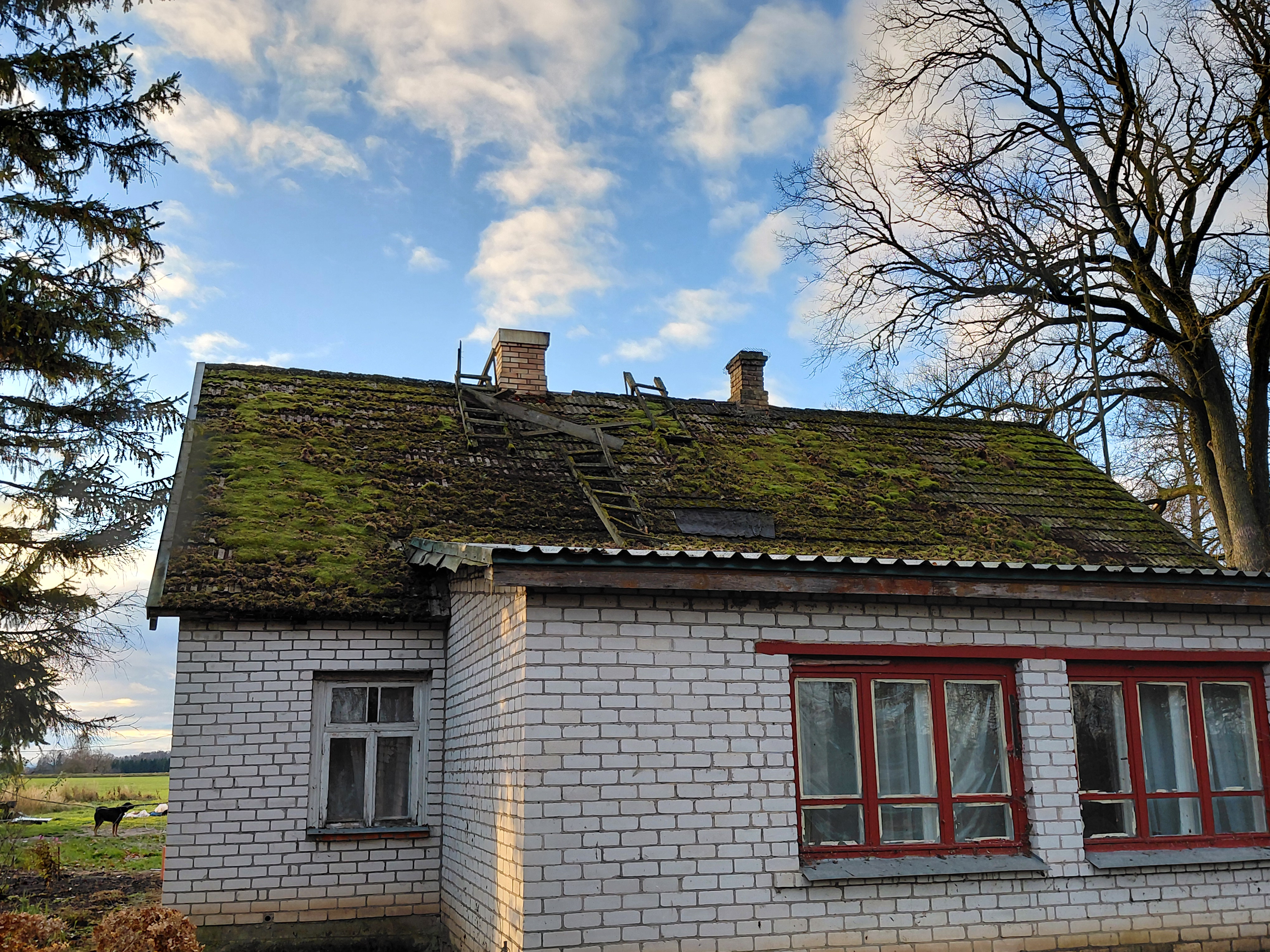Photos 1