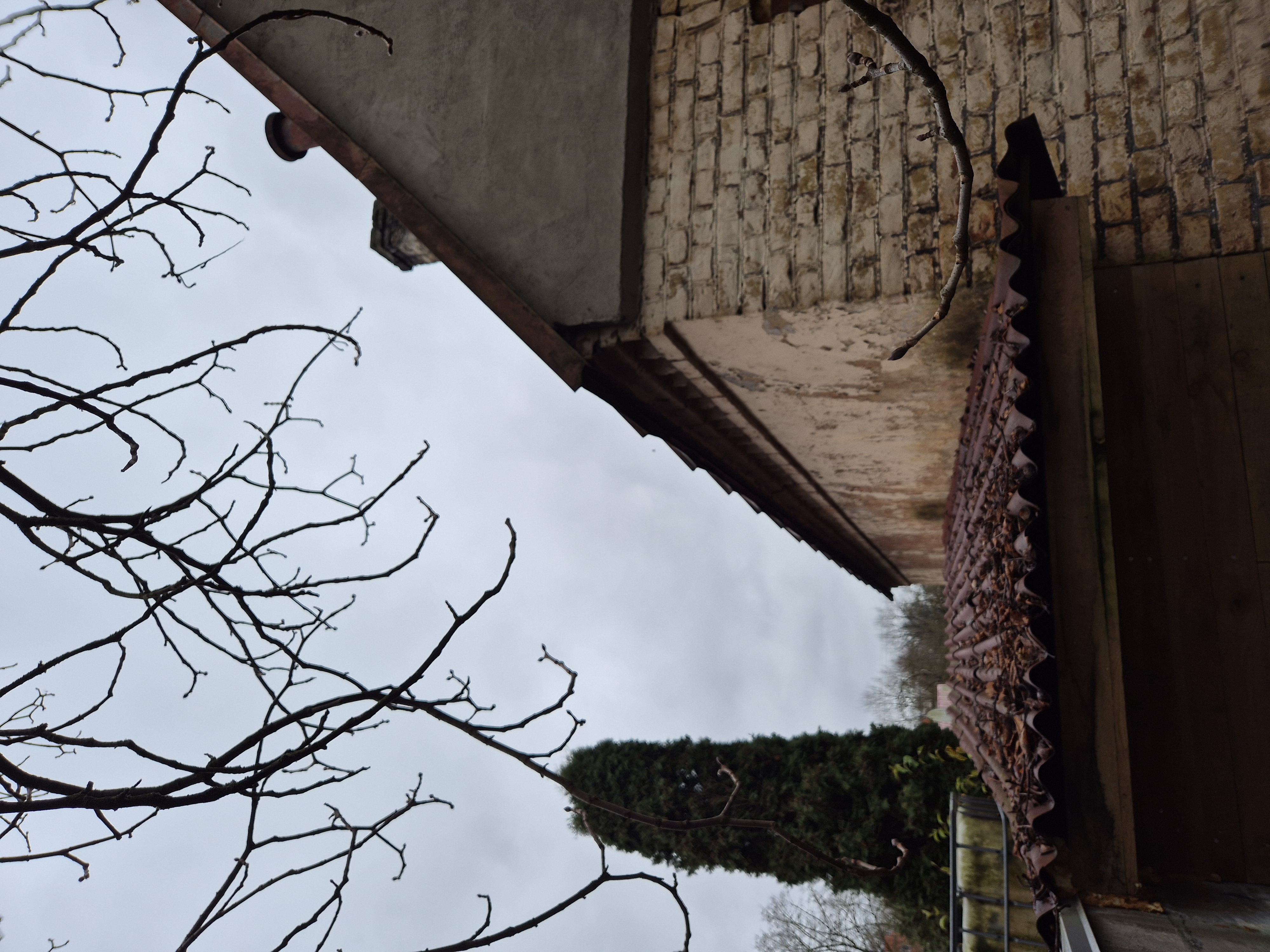 Fotoattēli 1