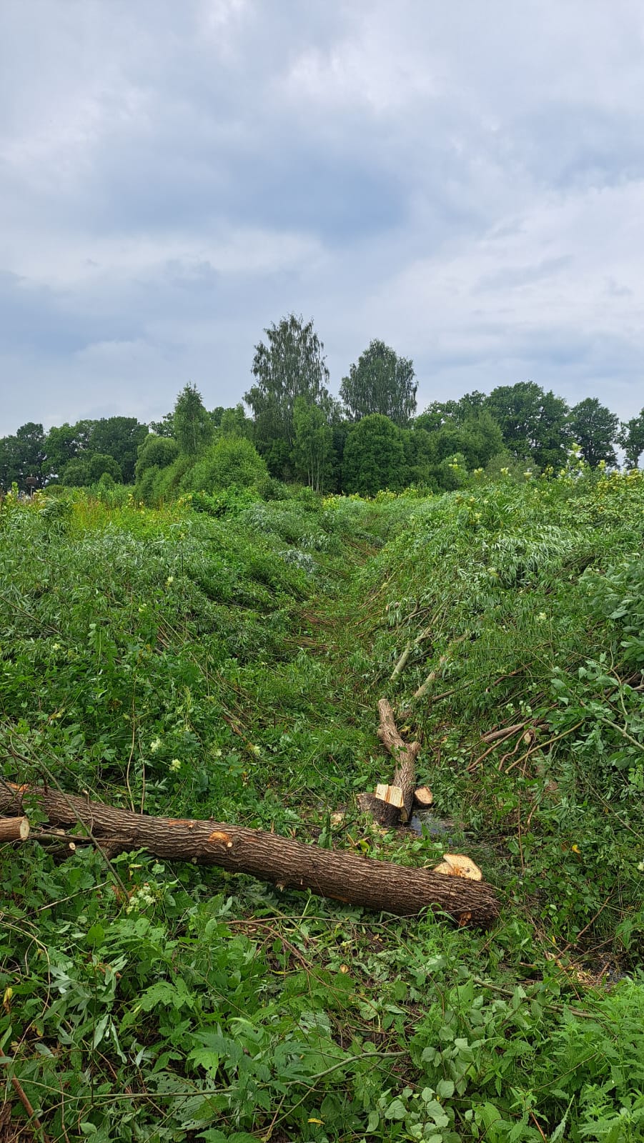 Fotoattēli 7