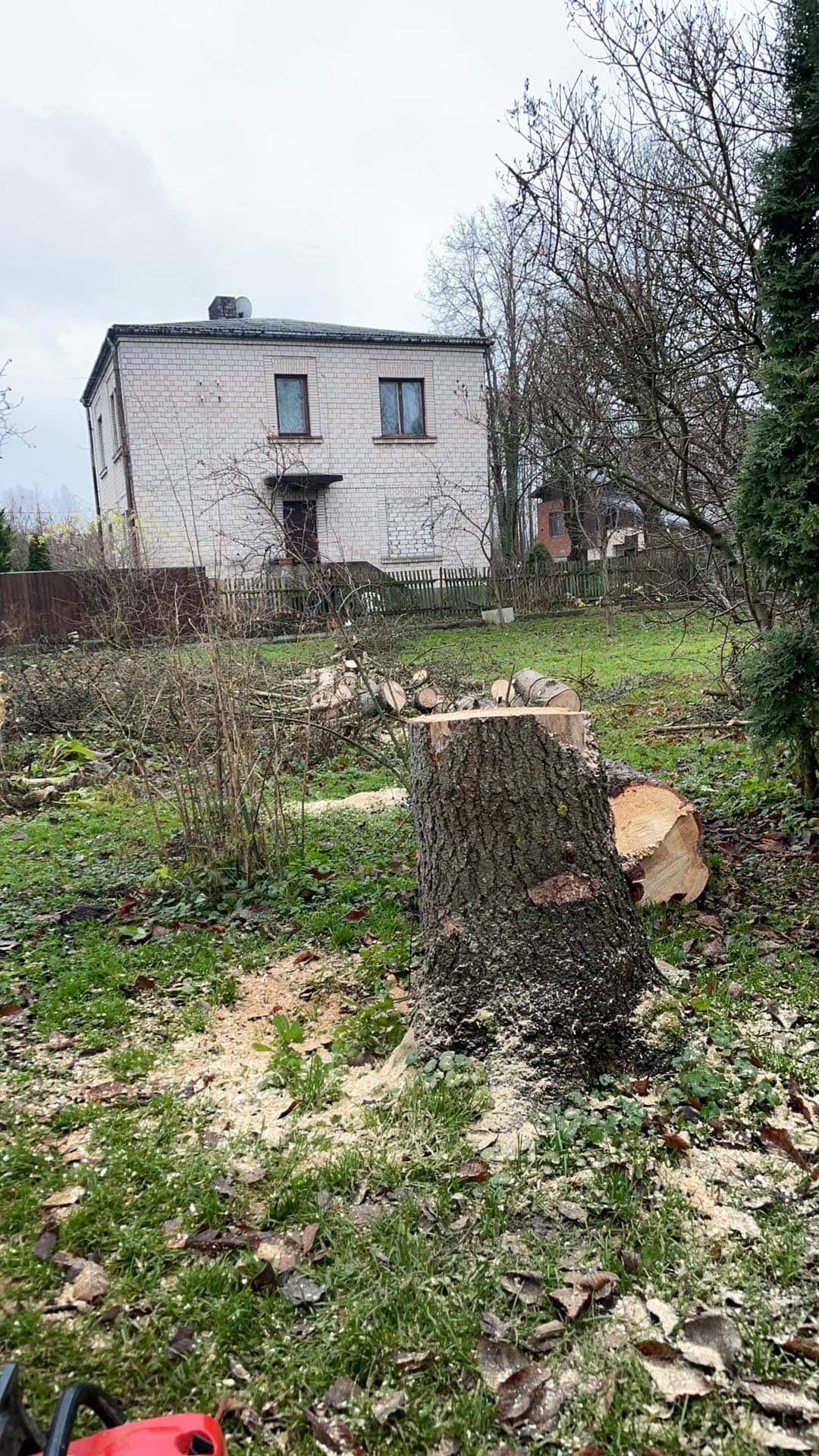 Fotoattēli 2