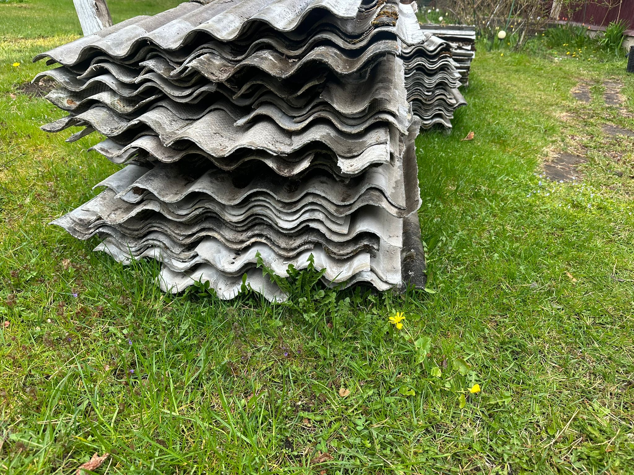 Fotoattēli 6
