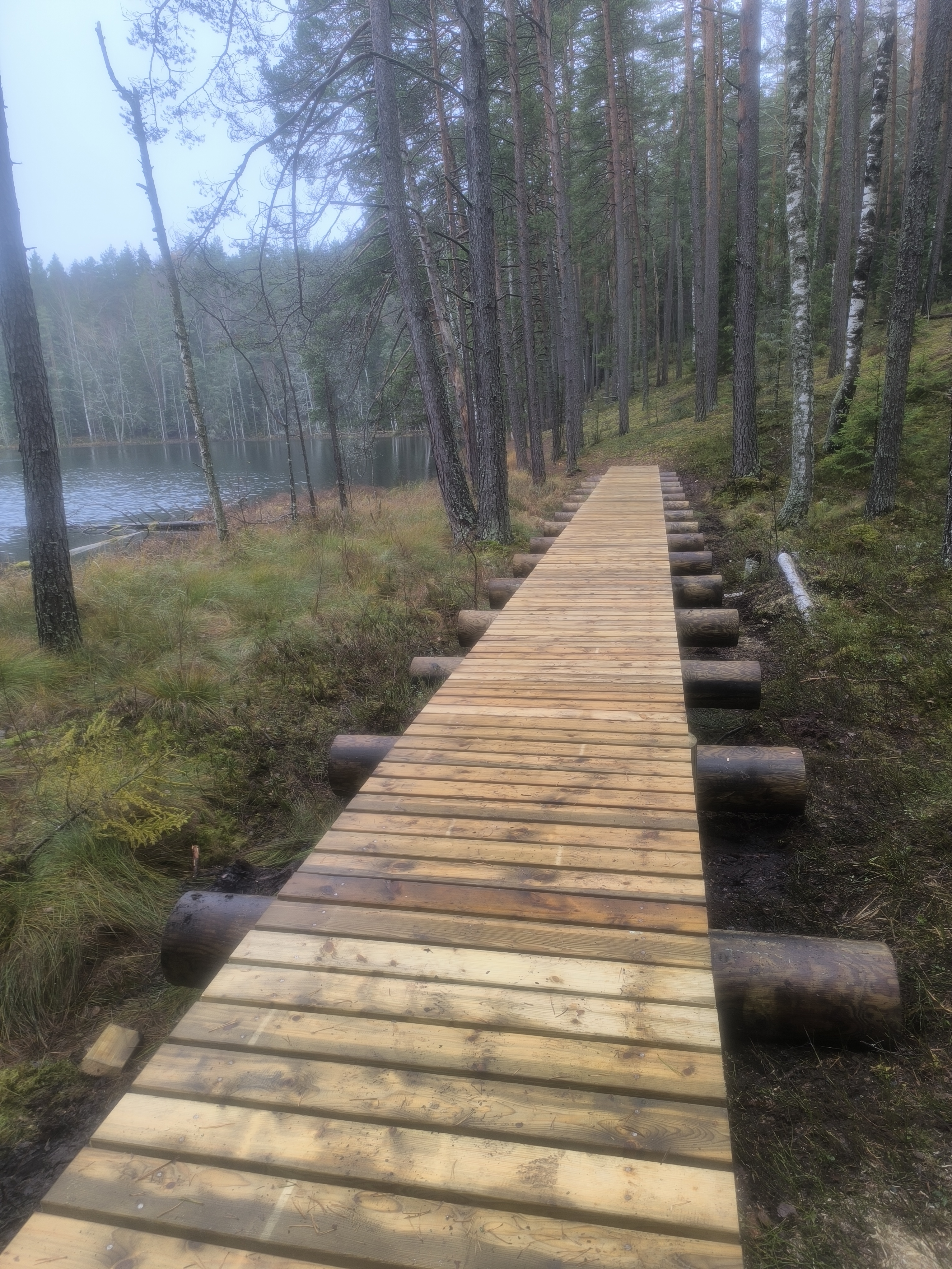 Fotoattēli 5