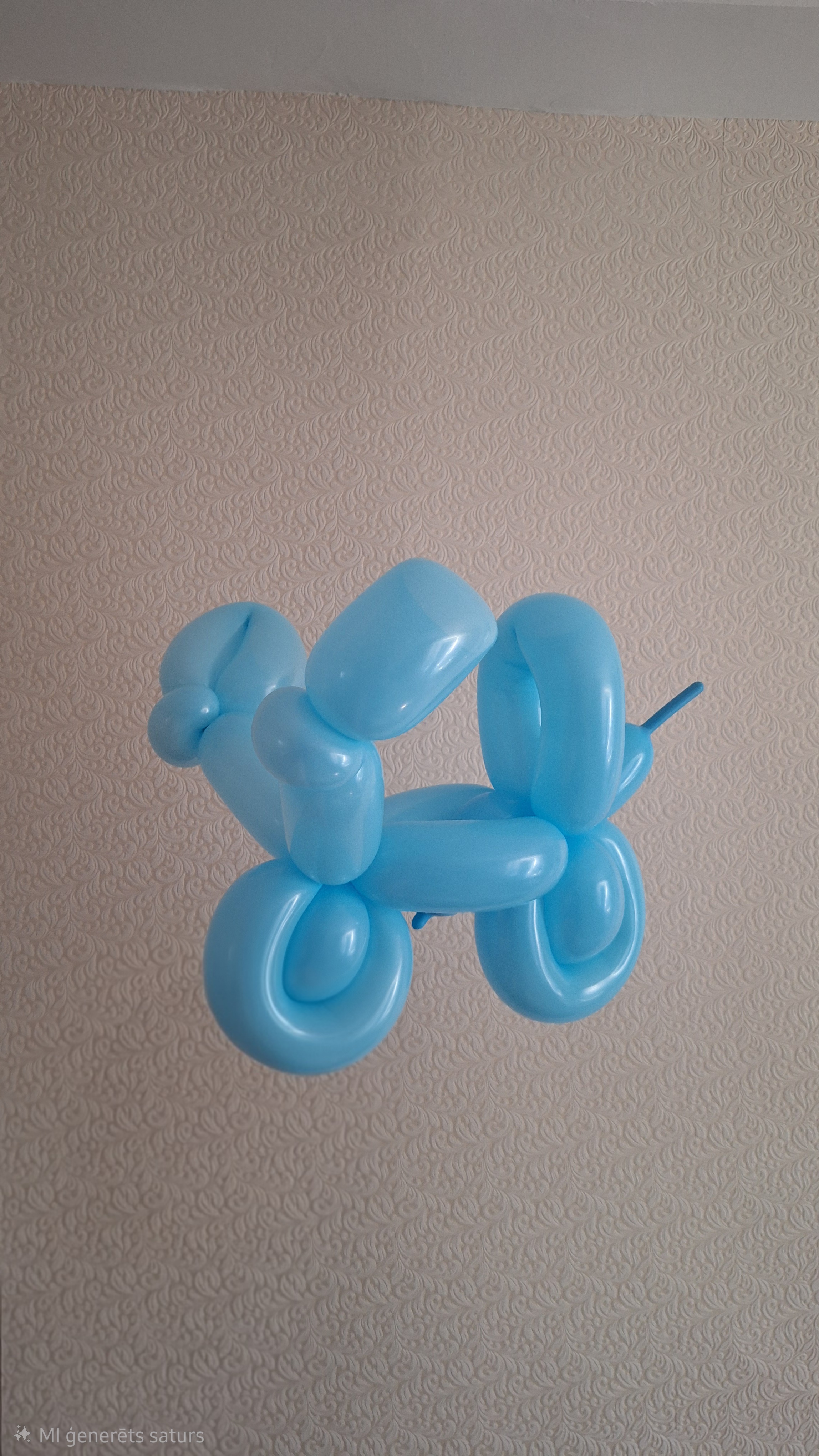Fotoattēli 2