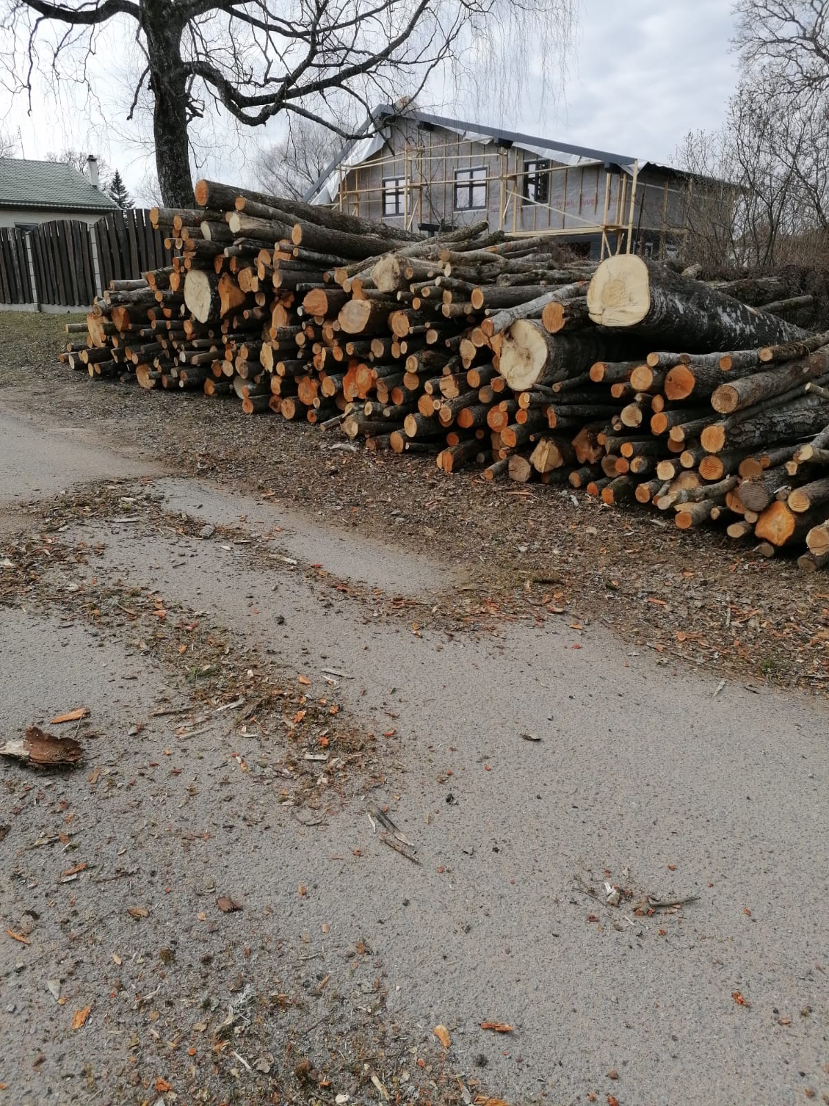 Photos 1