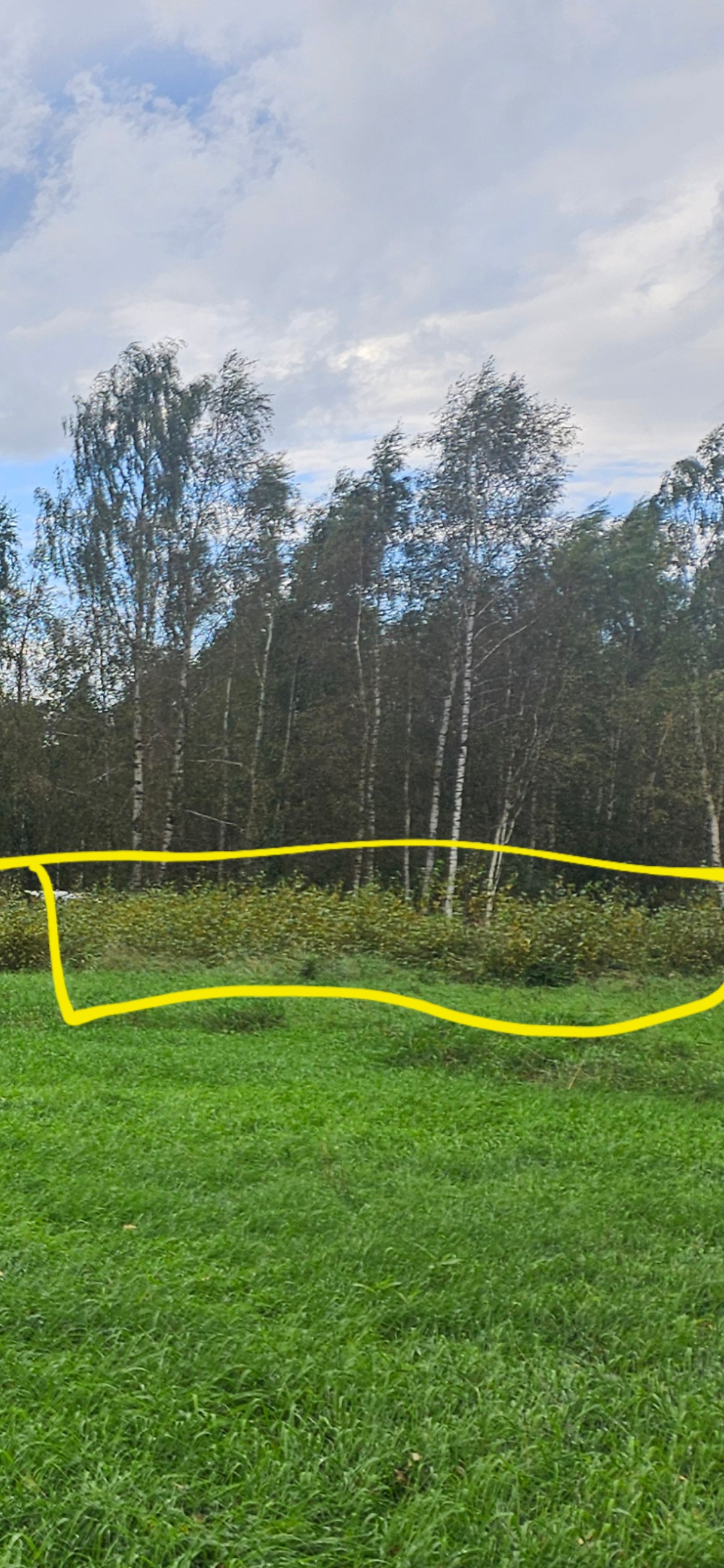 Fotoattēli 2