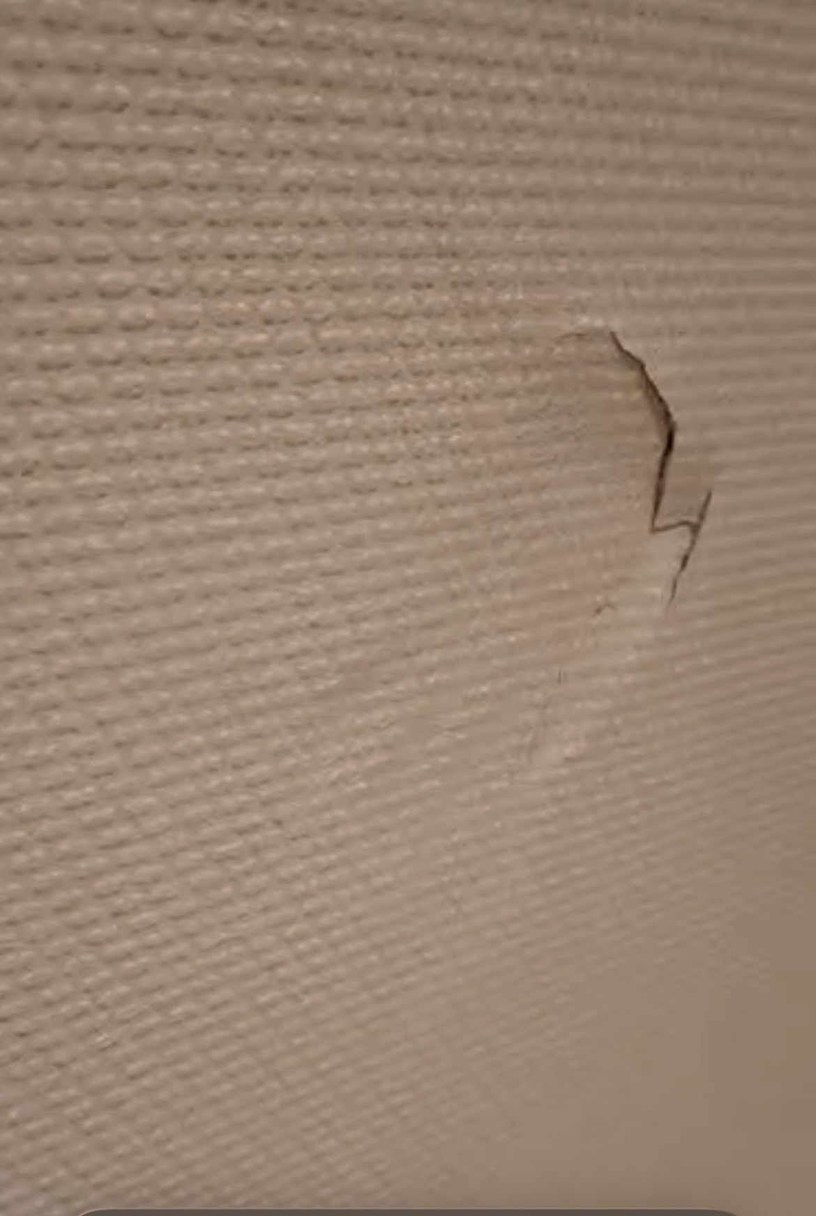 Photos 3