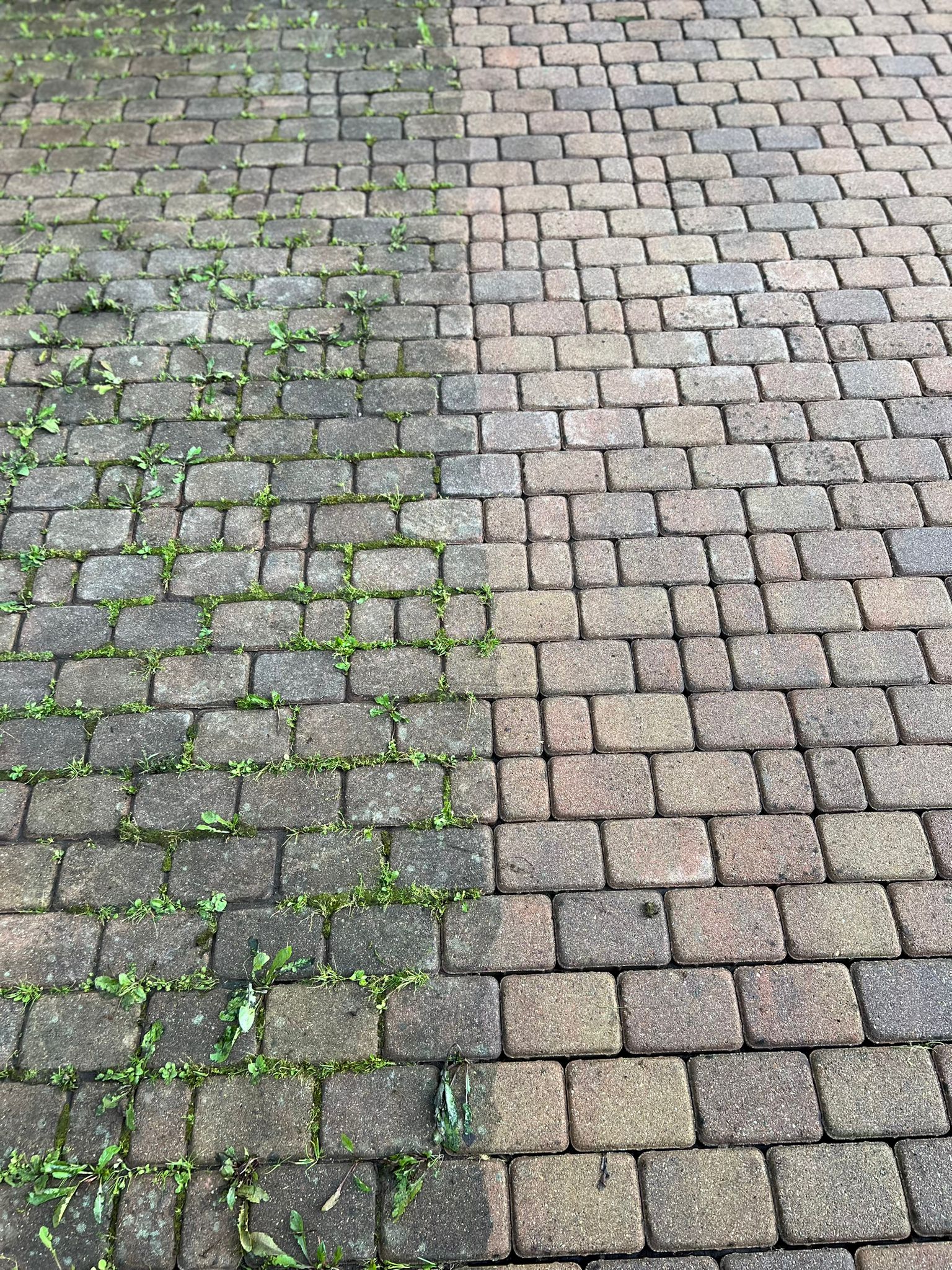 Photos 8