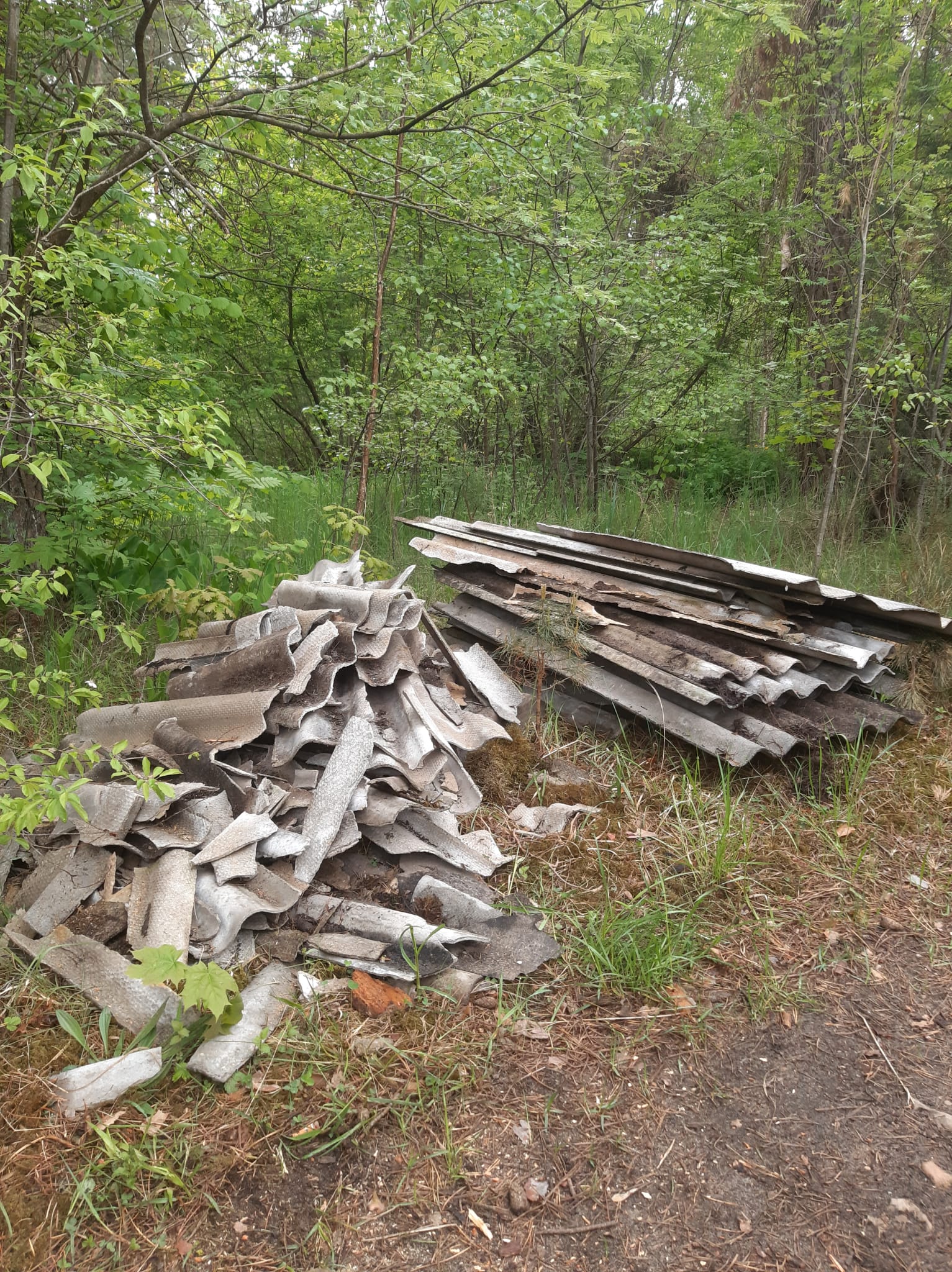 Photos 1