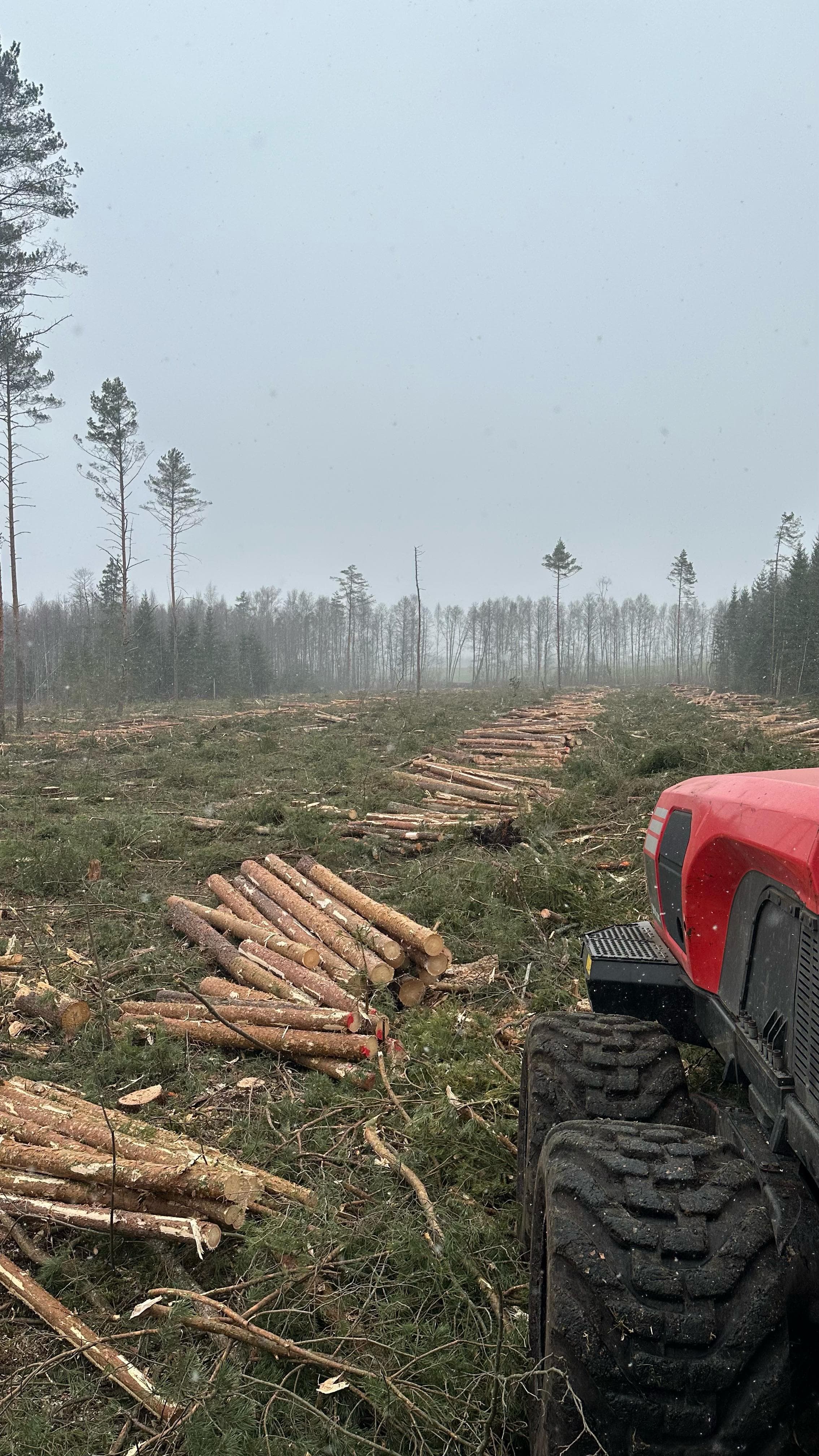Fotoattēli 3