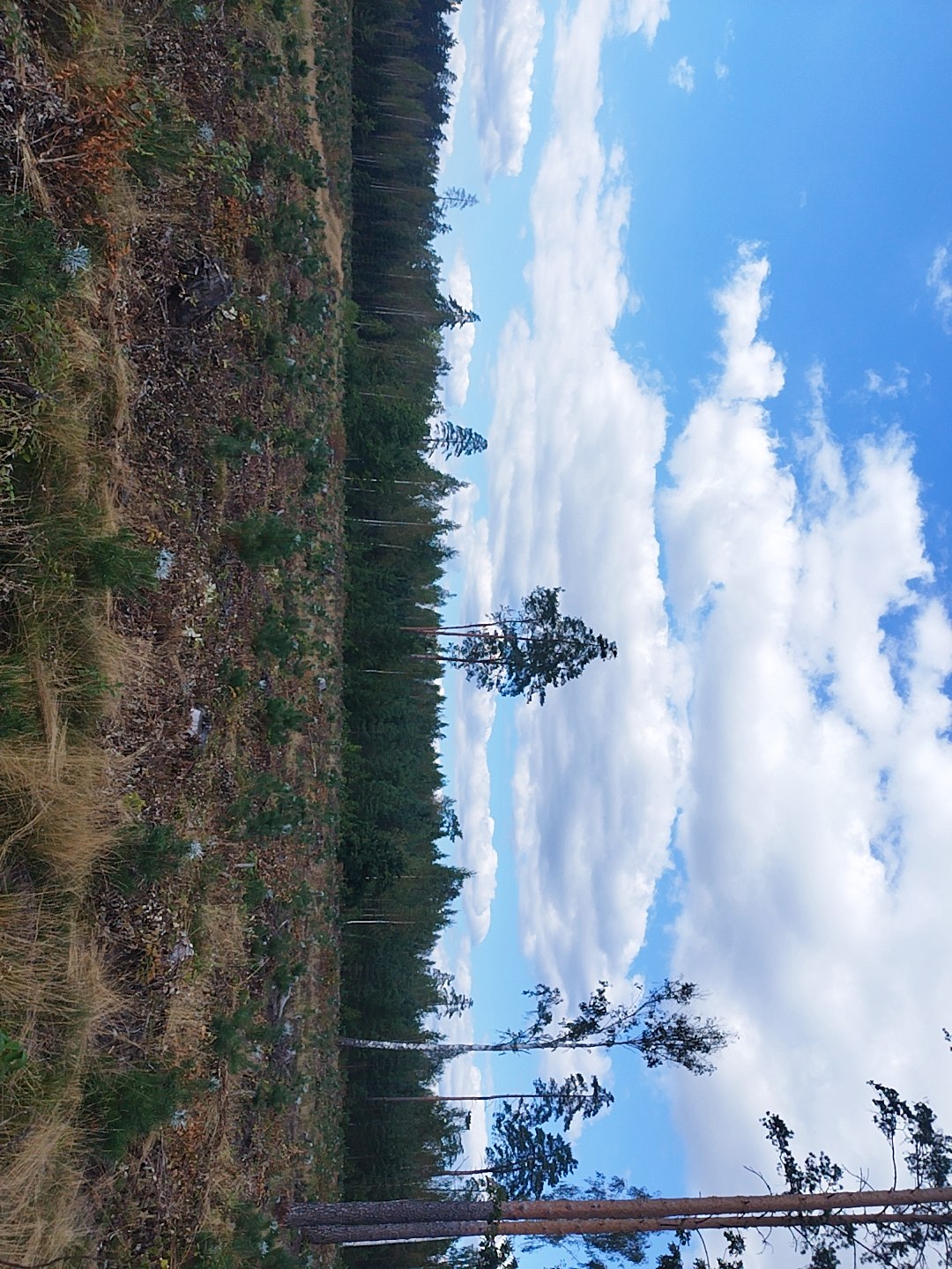 Fotoattēli 1