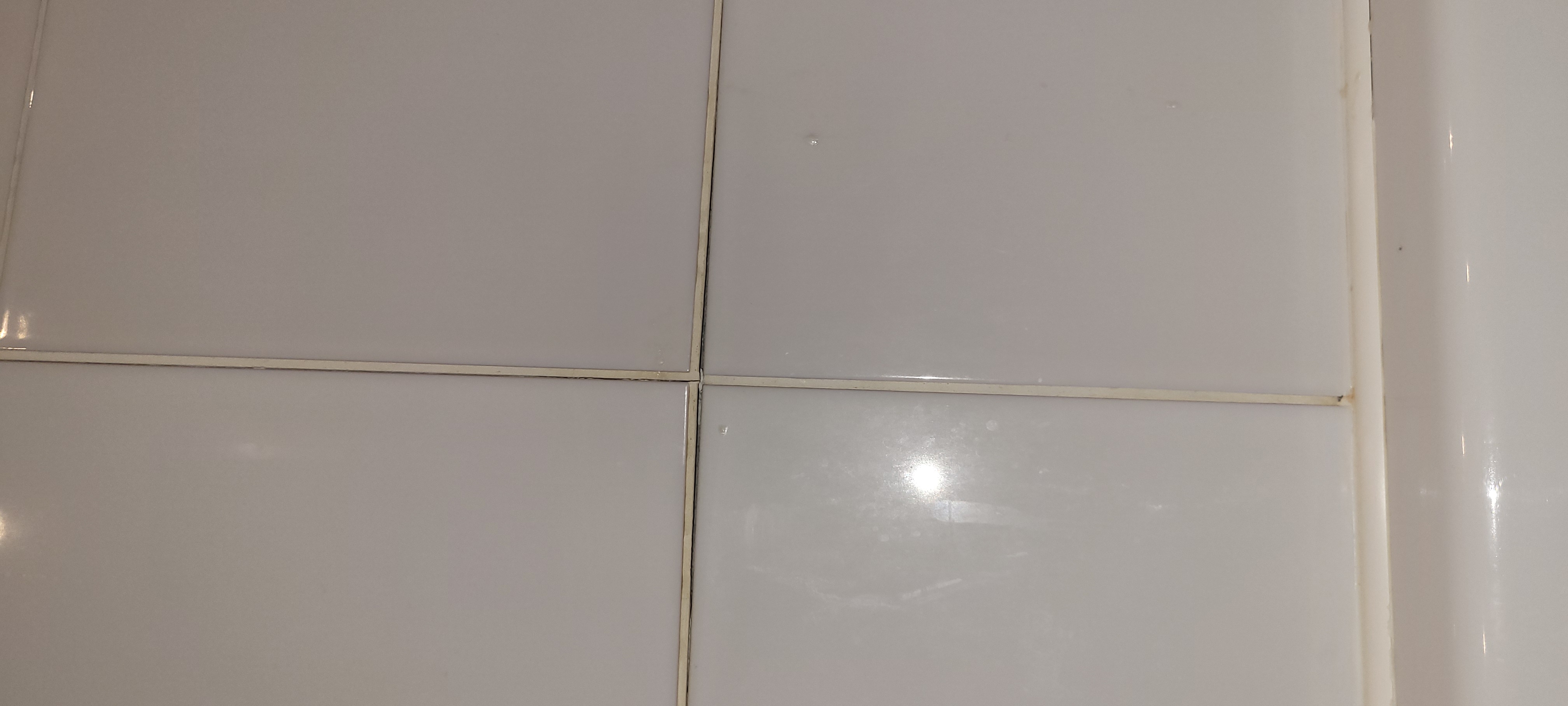 Photos 5