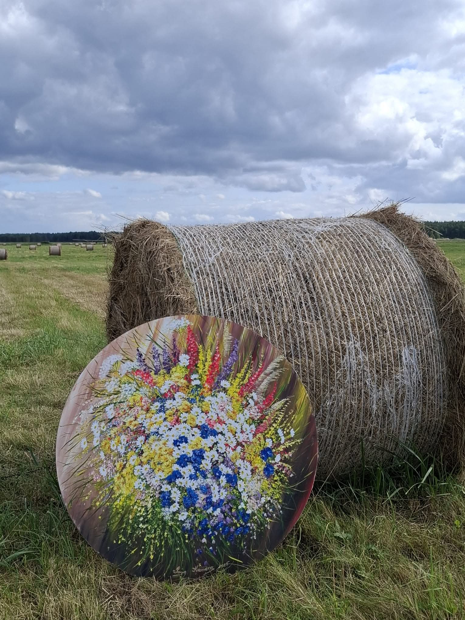 Fotoattēli 9