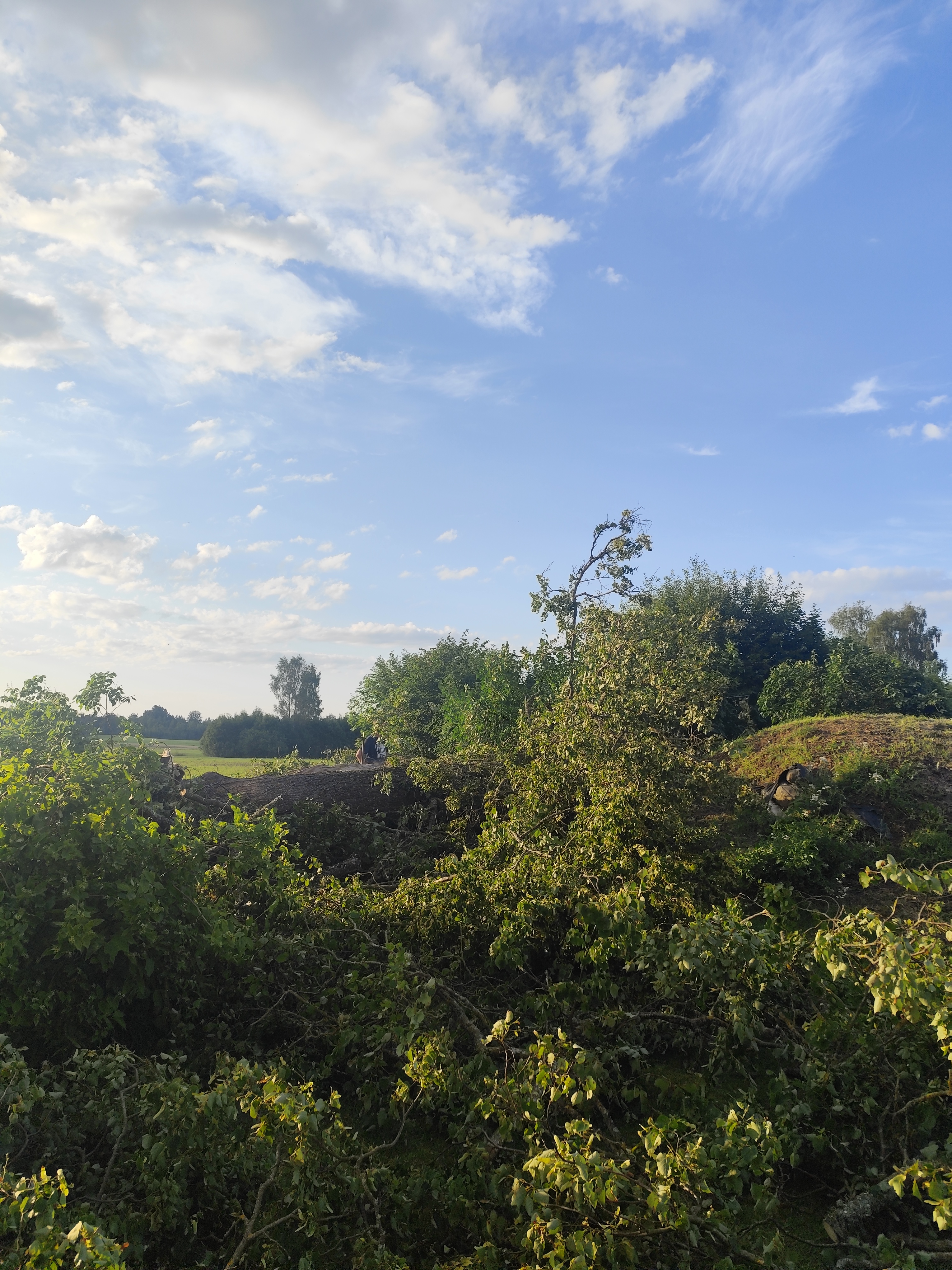 Fotoattēli 17