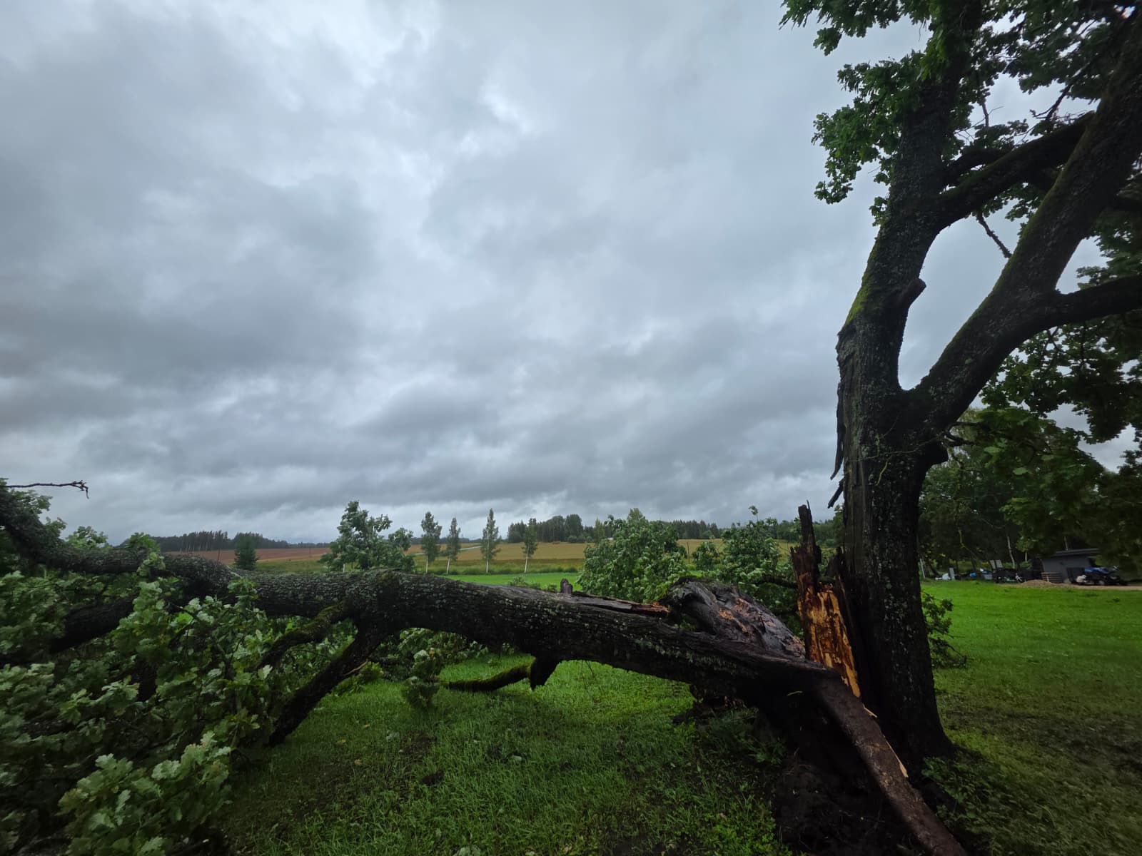 Fotoattēli 5