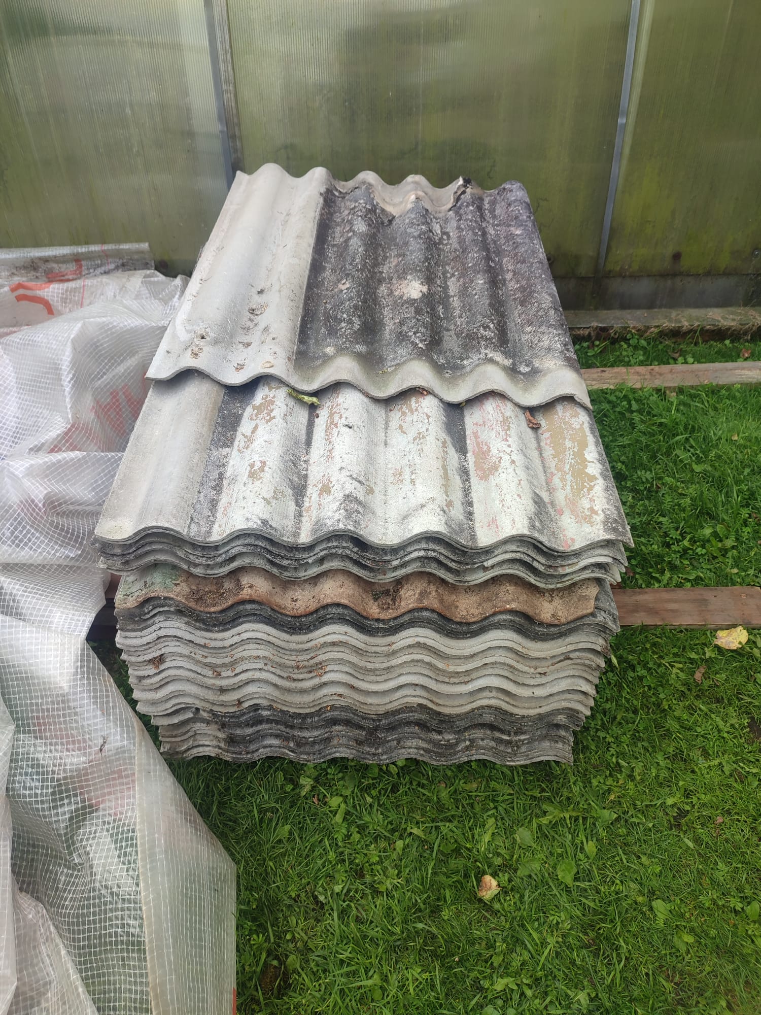 Photos 1