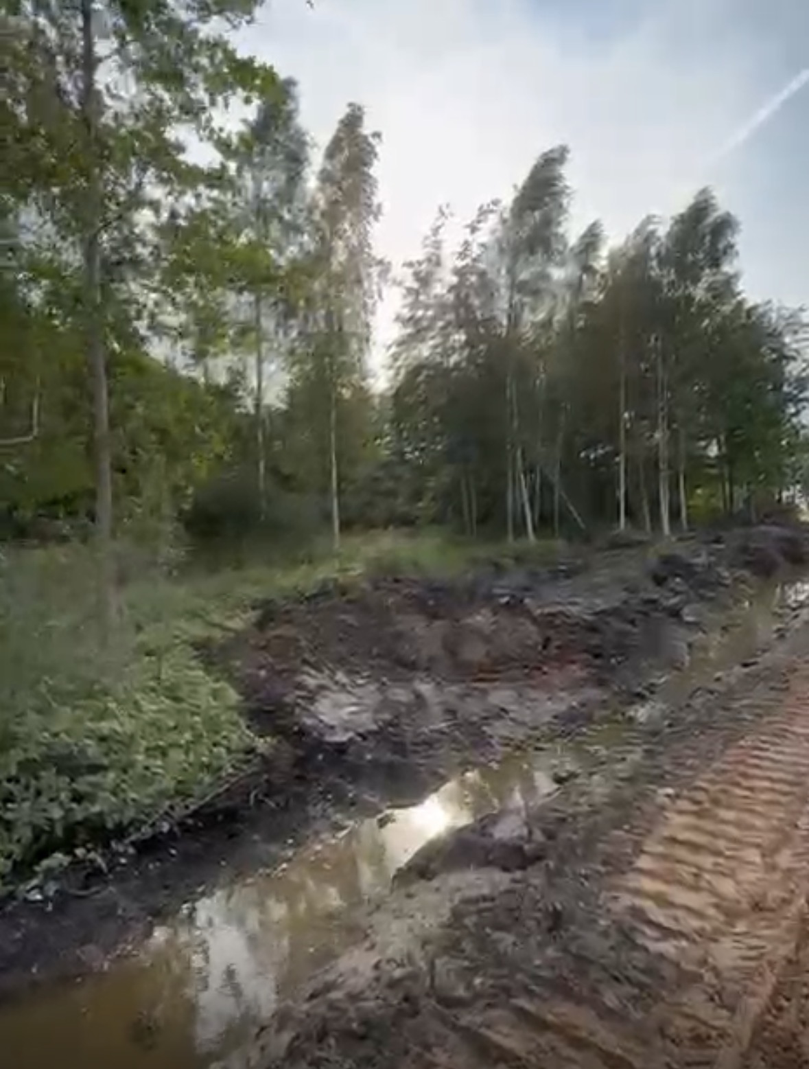 Fotoattēli 1