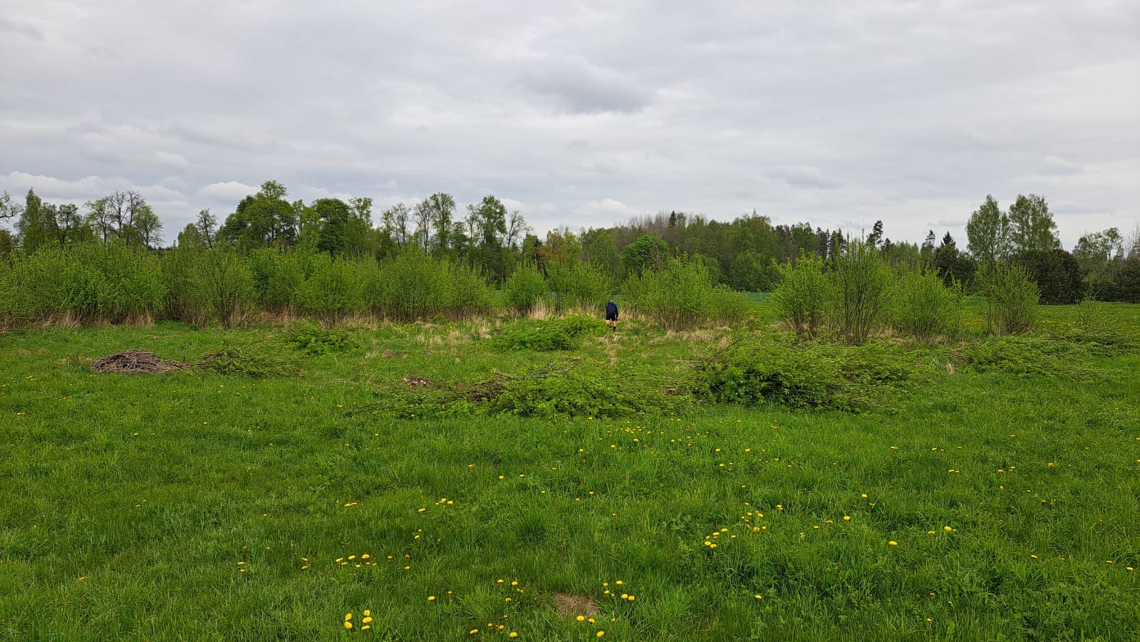 Fotoattēli 8