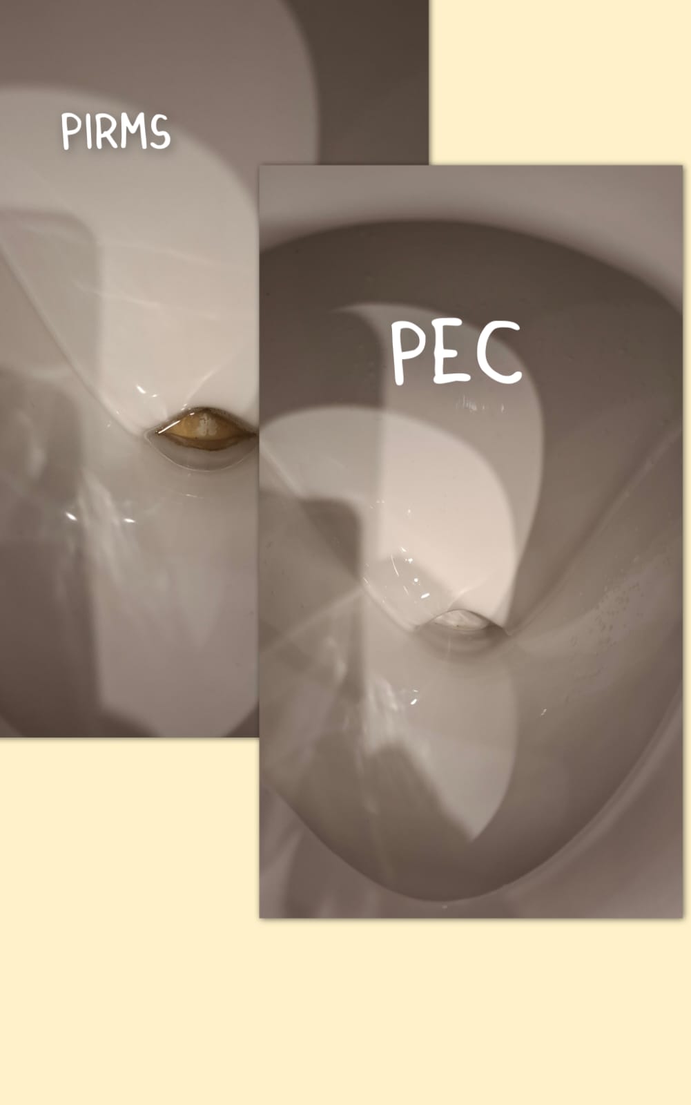 Фотографии 3